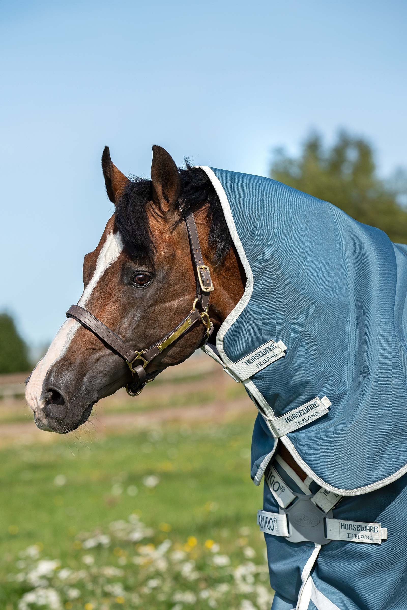 Horseware Amigo AmEco 12 Plus Turnout Rug With Detachable Neck, 100g Horse Rugs