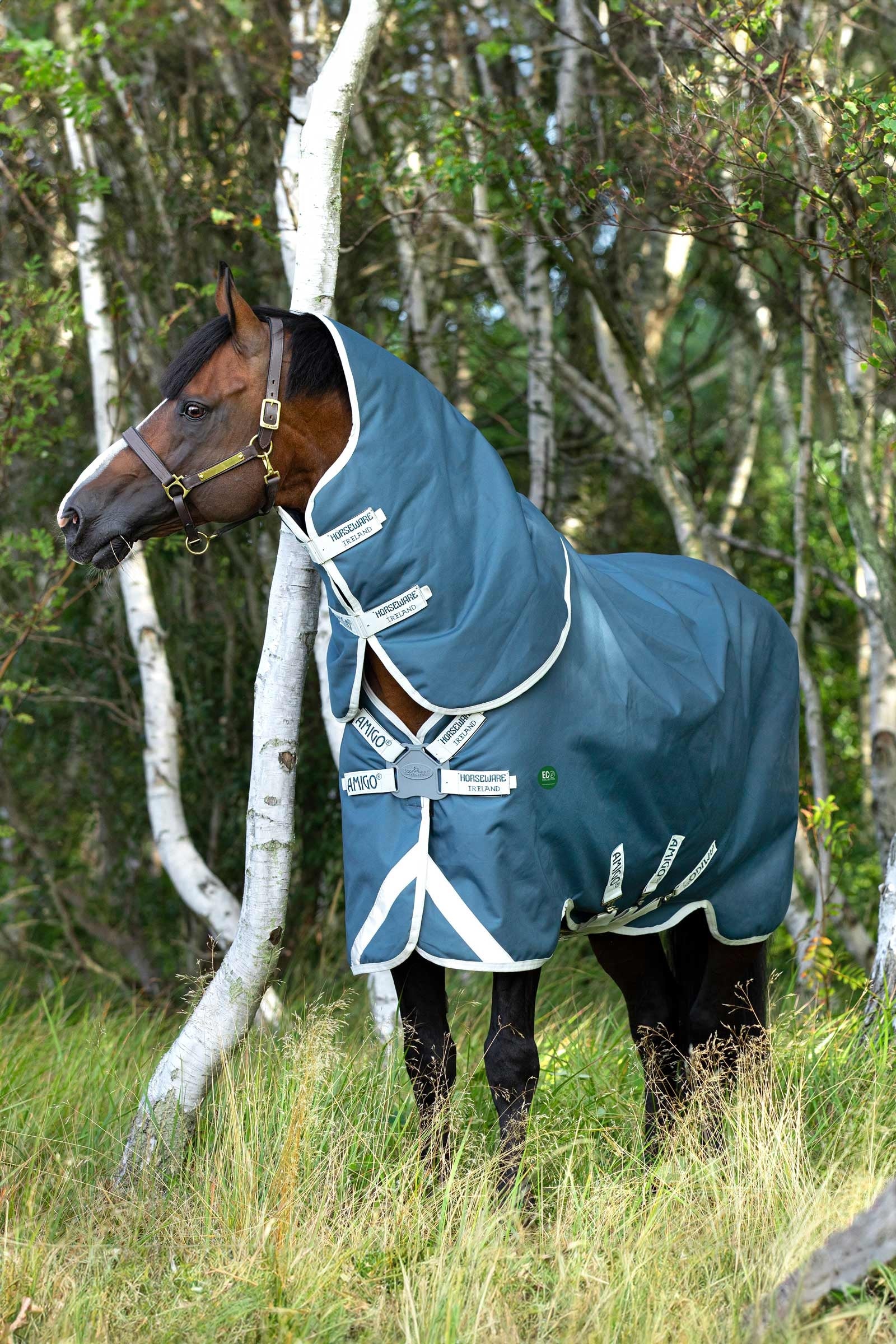 Horseware Amigo AmEco 12 Plus Turnout Rug With Detachable Neck, 100g Horse Rugs