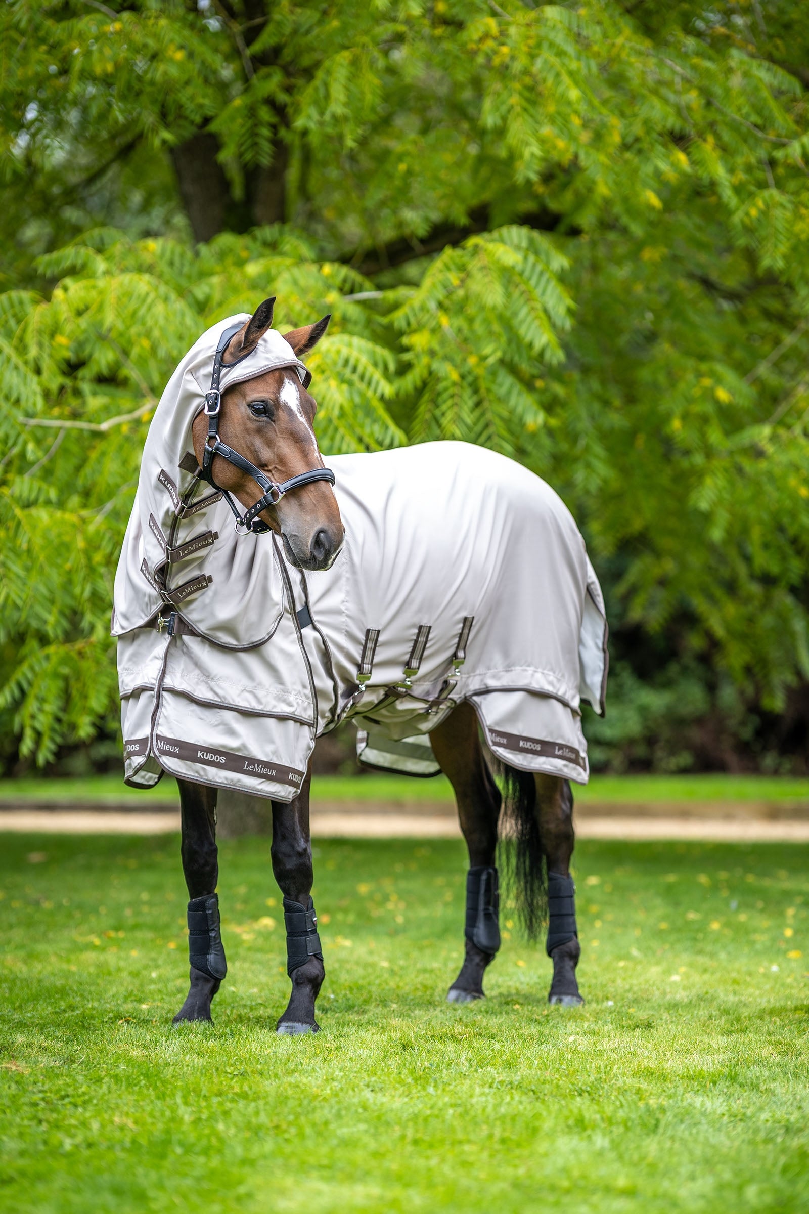 LeMieux Kudos Sweet Itch Rug Horse Rugs