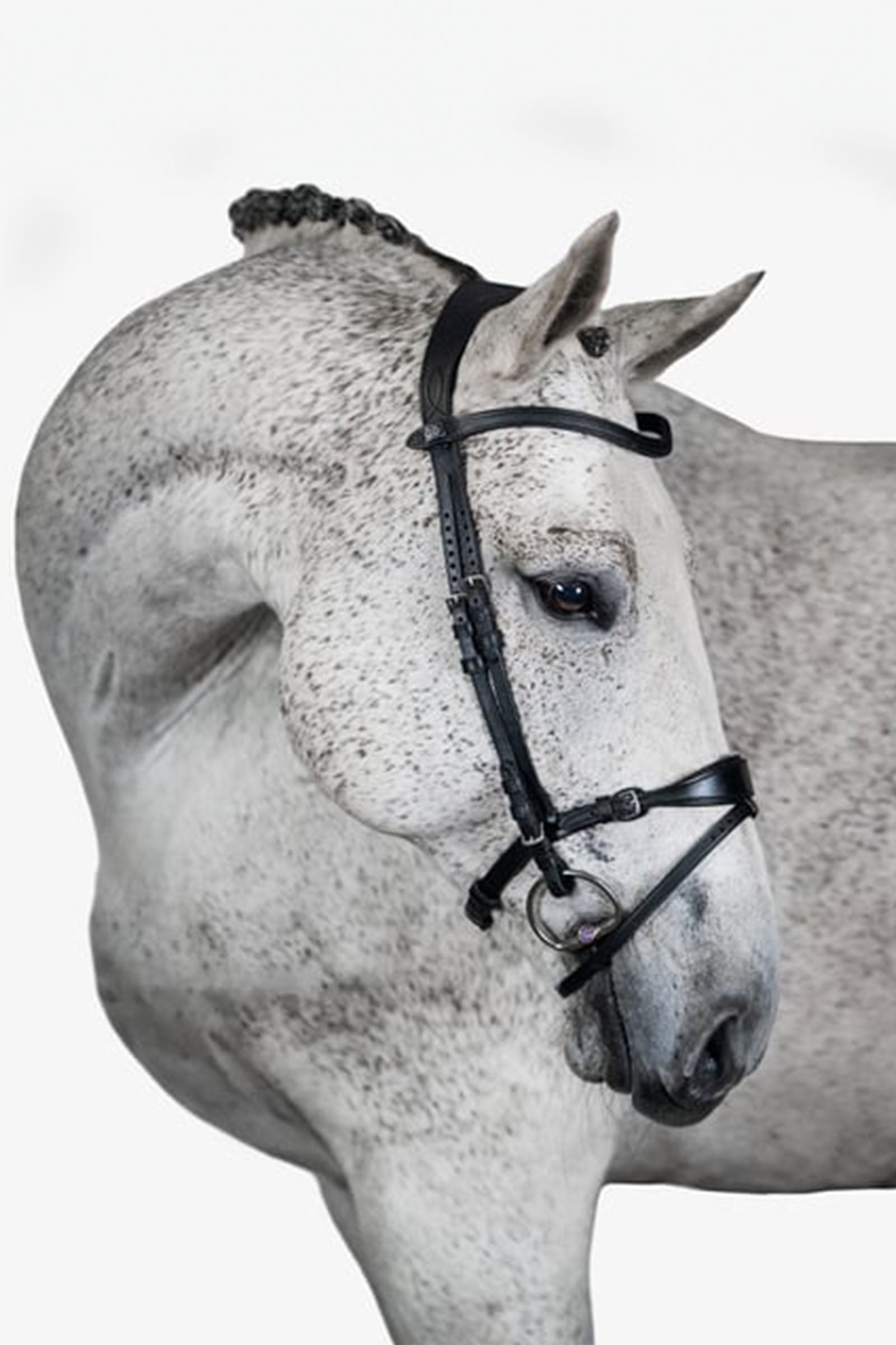 PS of Sweden Bridle, Mary Lou by Henrik von Eckermann Bridles & Reins