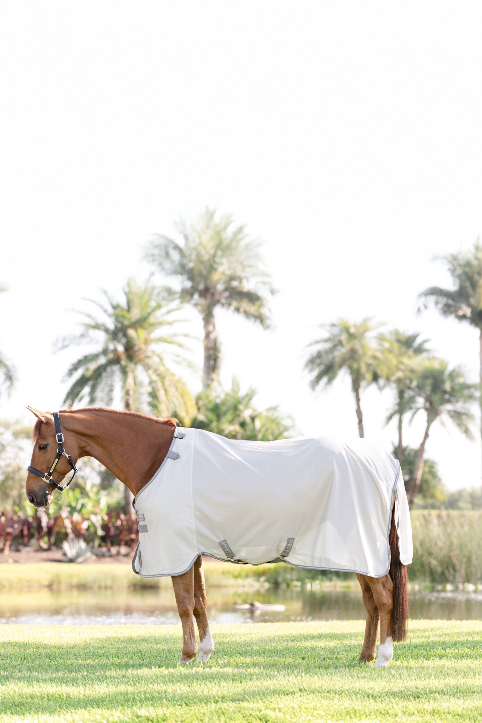 Horseware Amigo derka przeciw owadom z ochroną UV Derki