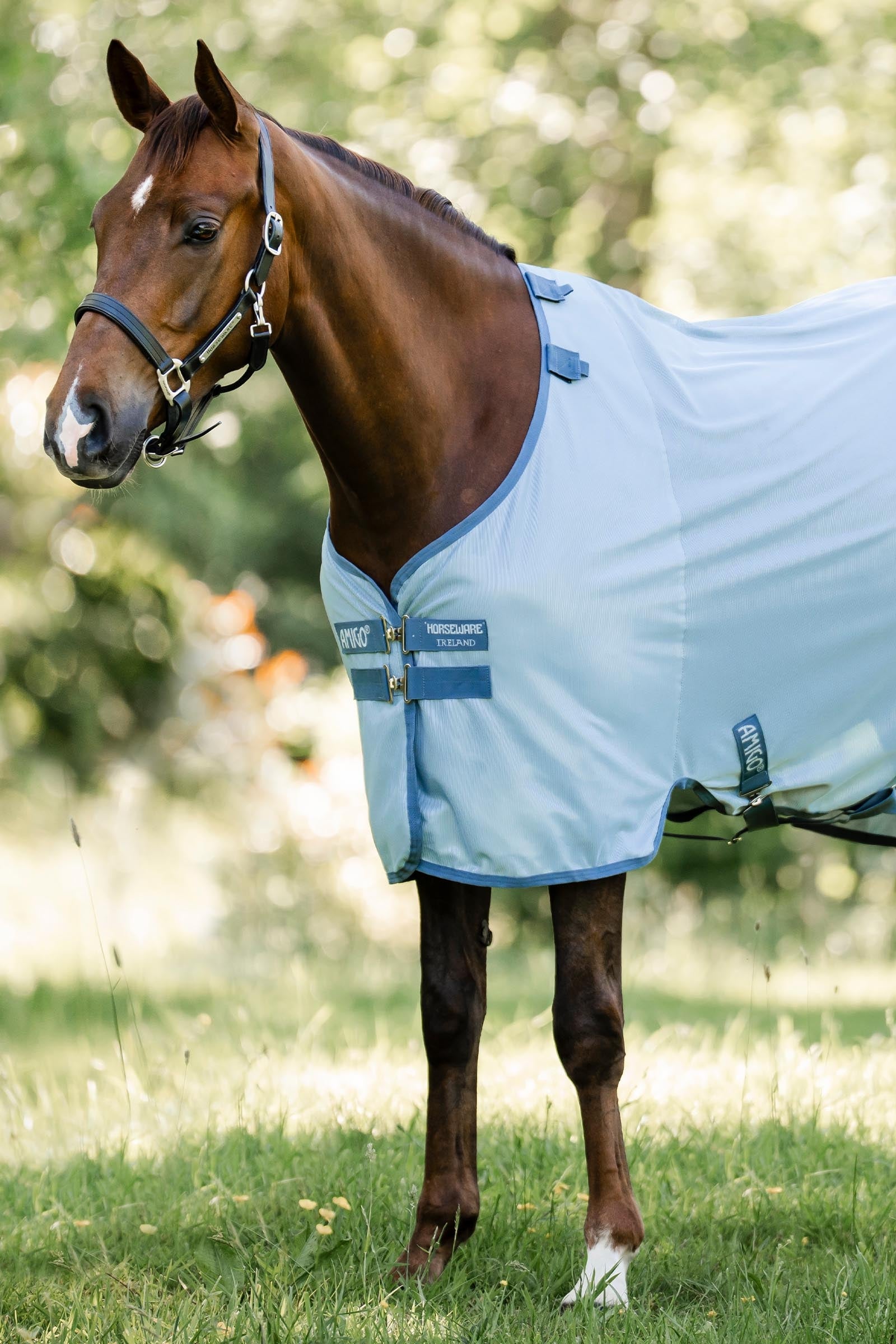 Horseware Amigo derka przeciw owadom z ochroną UV Derki
