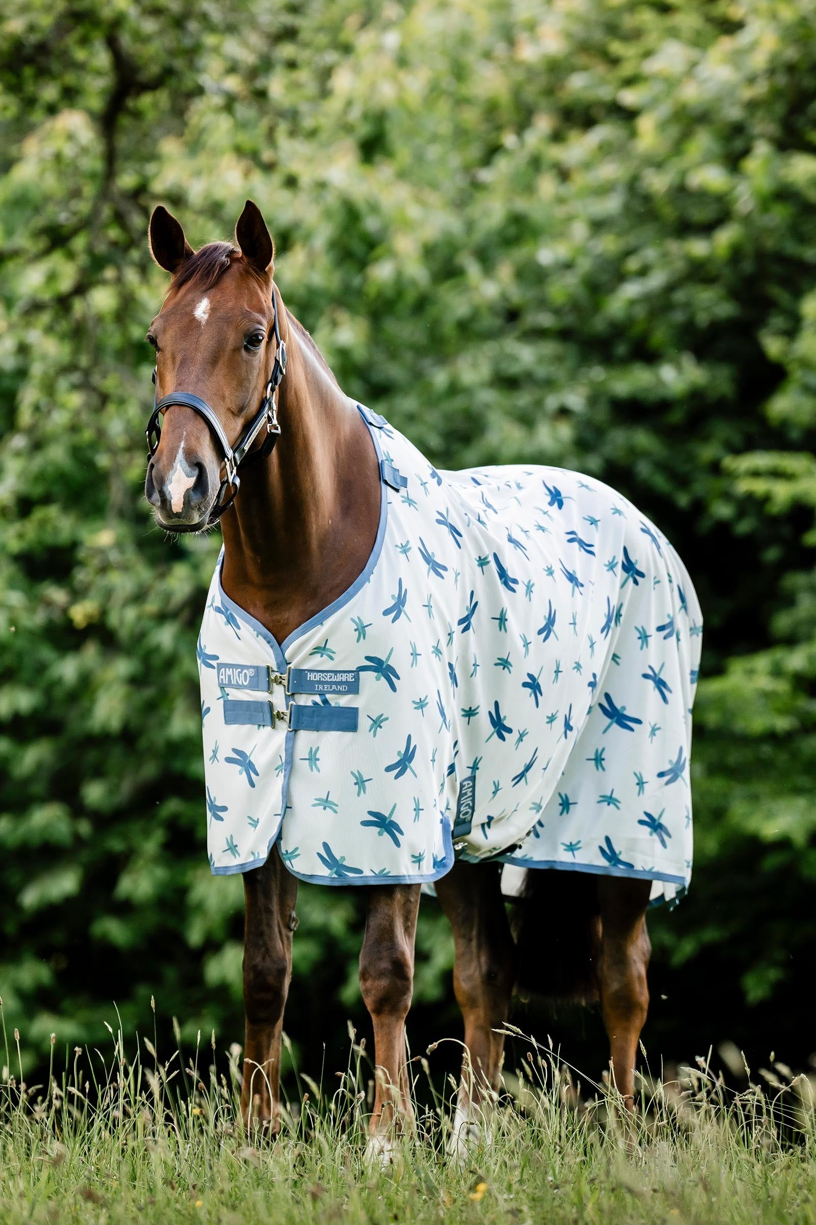 Horseware Amigo derka przeciw owadom z ochroną UV Derki
