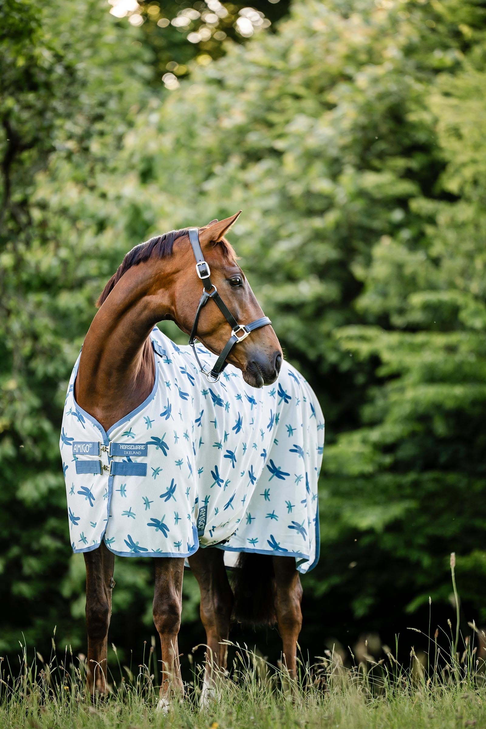 Horseware Amigo Bug Rug With UV-Protection Horse Rugs