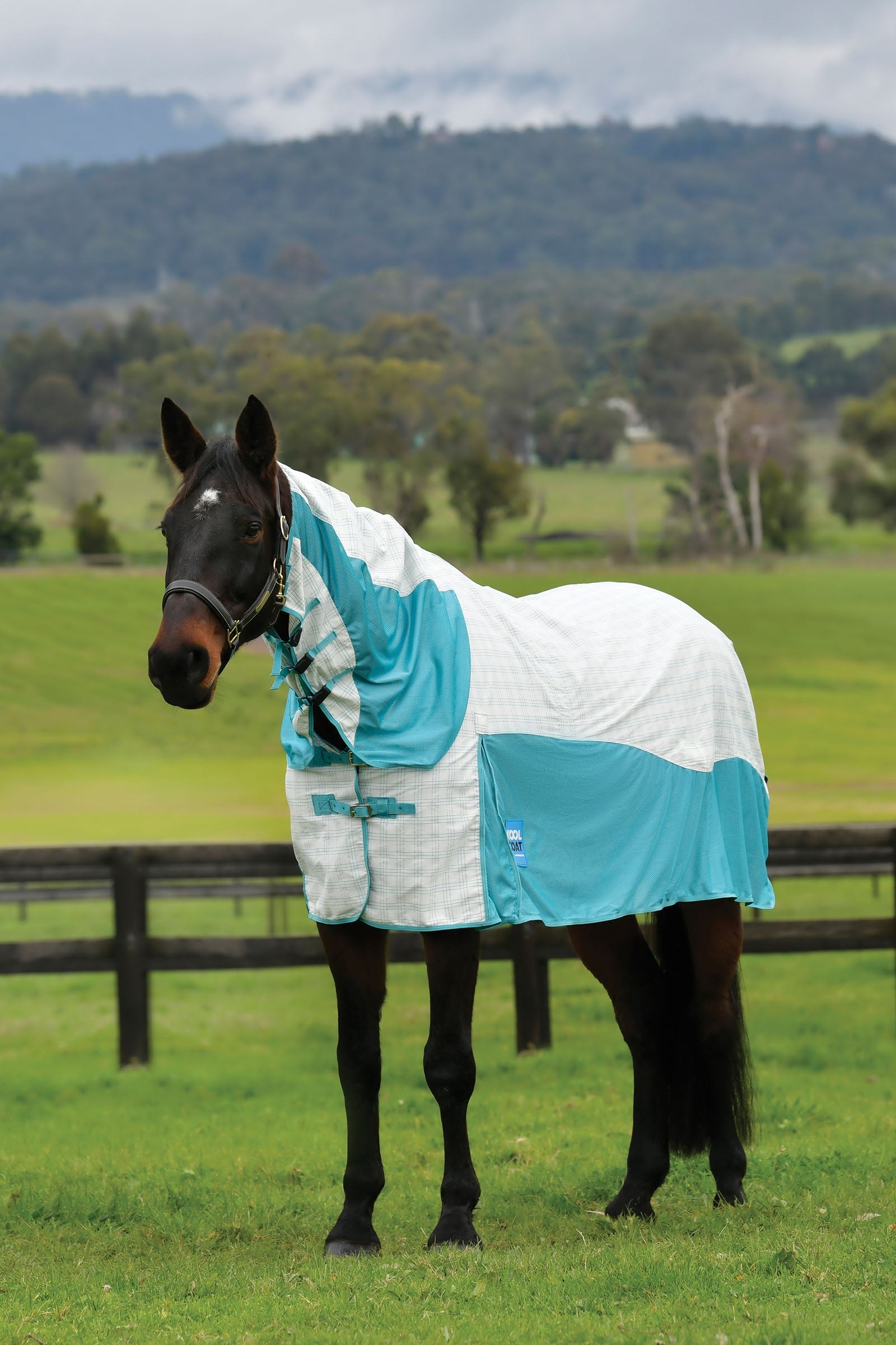 Weatherbeeta Kool Coat Cotton Airstream Ii Detach-A-Neck Horse Rugs
