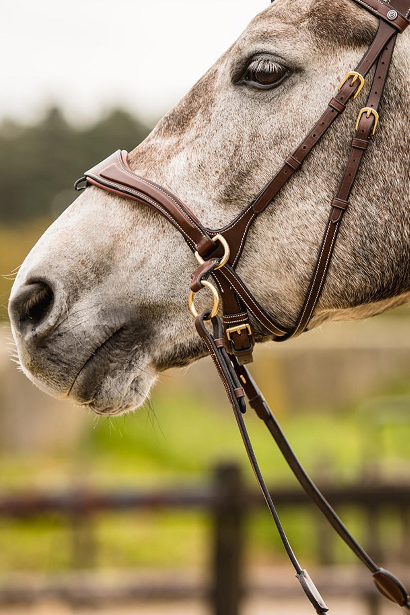 Trust Equestrian Falsterbo T-motion Bridle Bridles & Reins