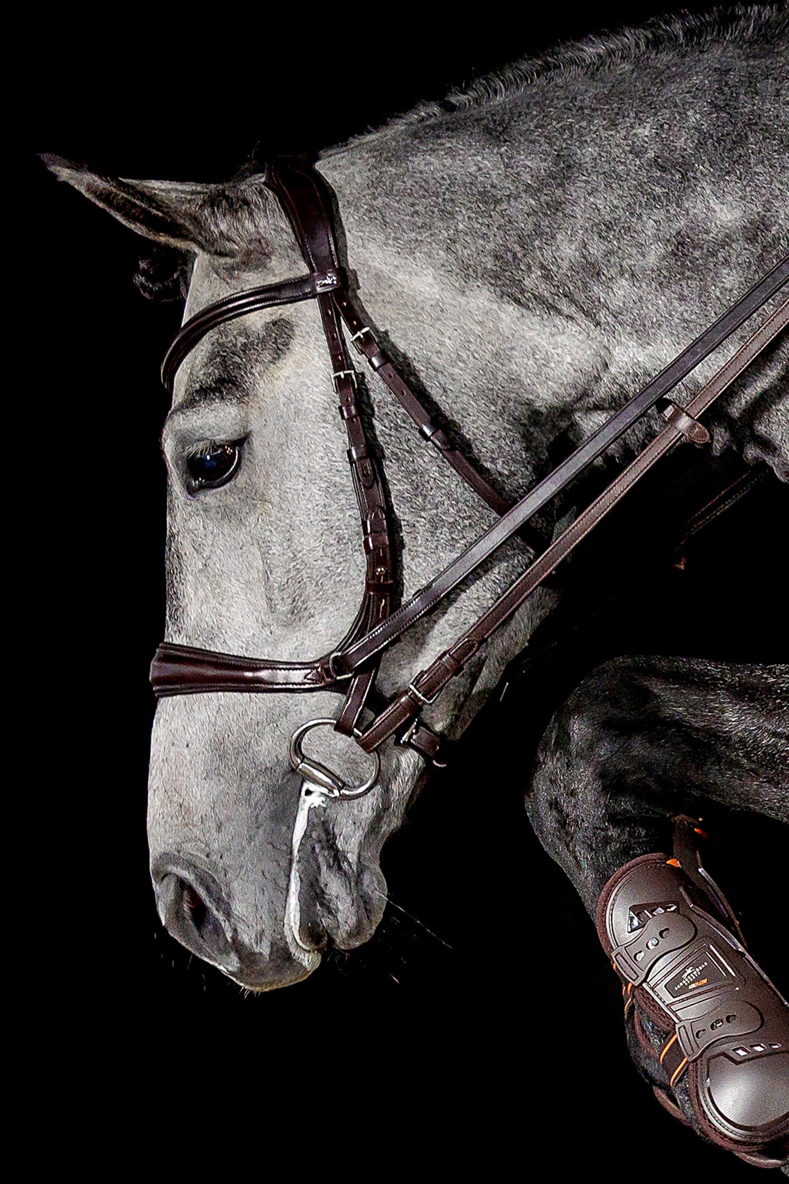 Schockemöhle Sports Equitus Theta 3in1 Bridle Bridles & Reins