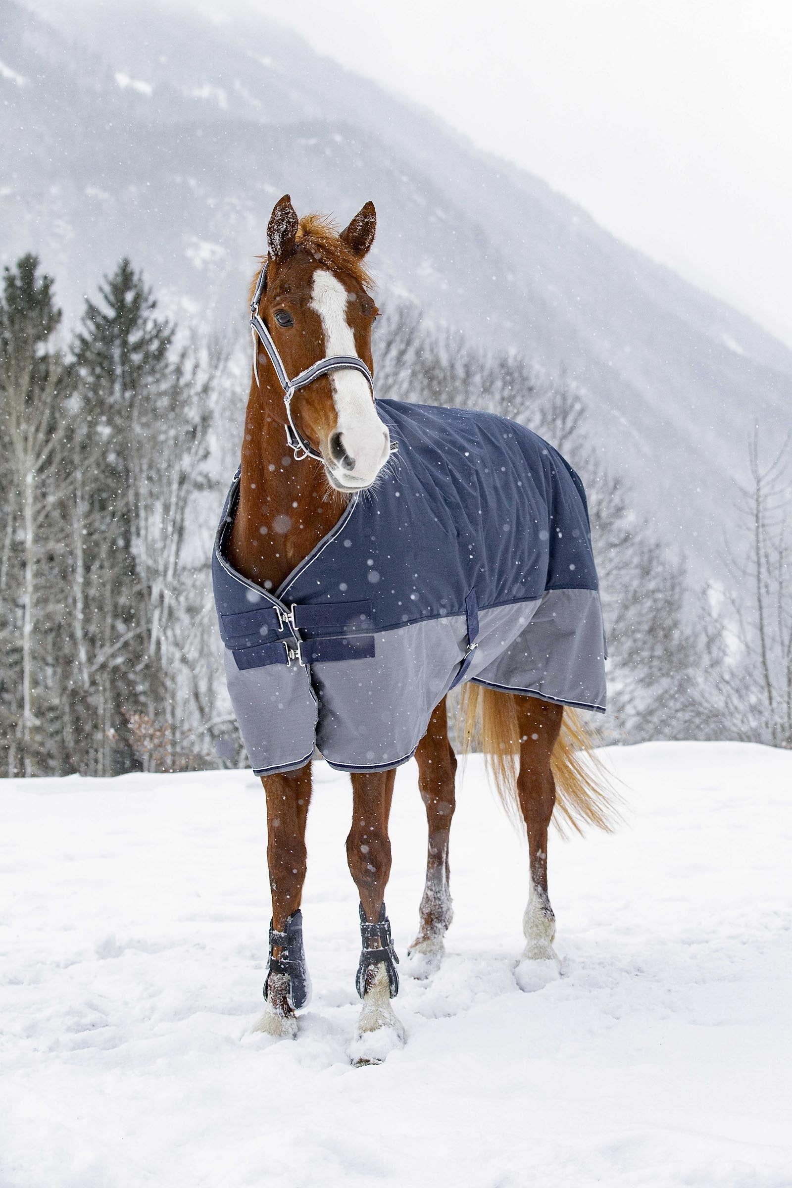 Equi Theme EQUITHÈME TYREX 600D Turnout Rug, 450 g Horse Rugs