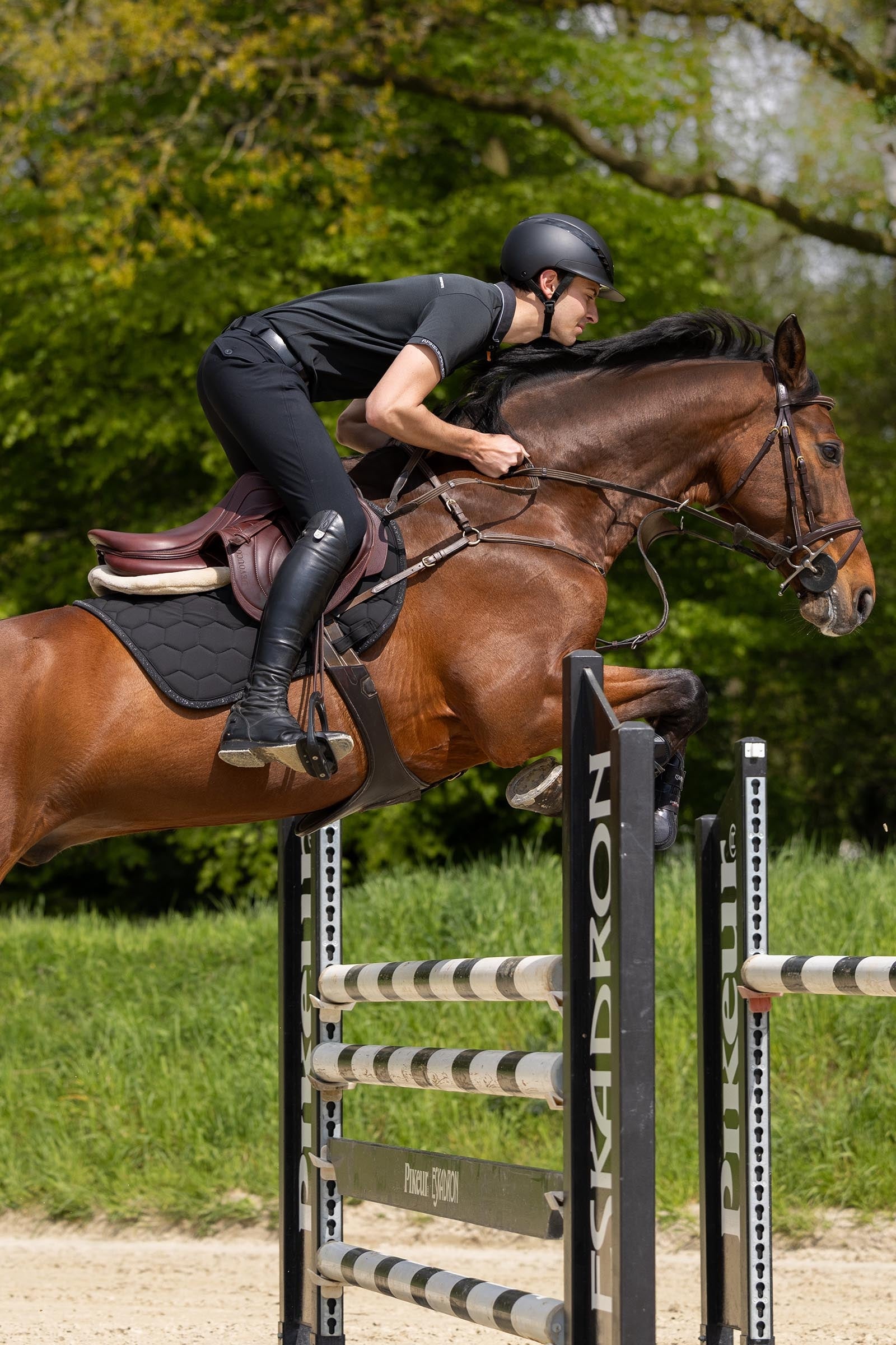 Pikeur Rodrigo Grip II Men's Knee Patch Breeches Mens Riding Clothing