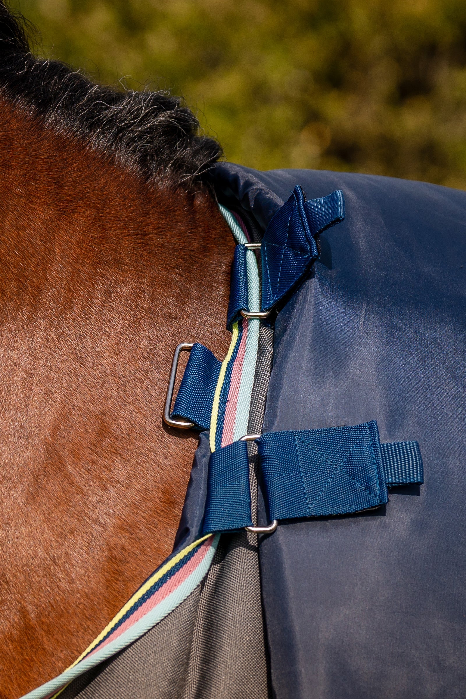 Horseware Amigo Bravo 12 Plus Turnout Rug, 250 g Horse Rugs