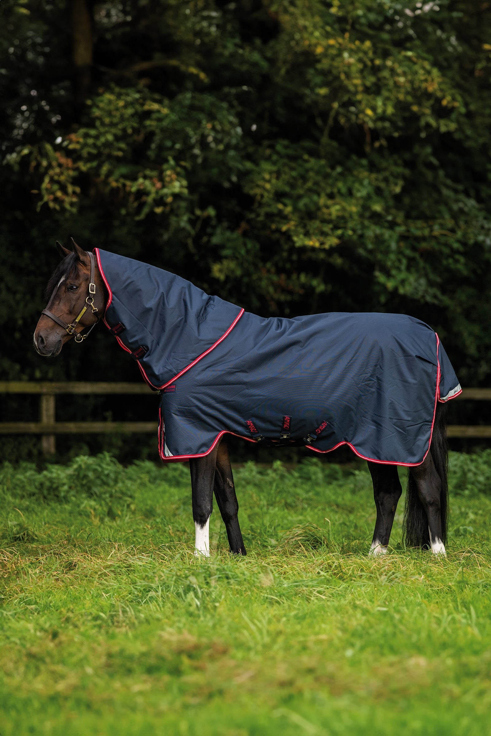 Horseware Amigo Bravo 12 Plus derka padokowa, 250 g Derki