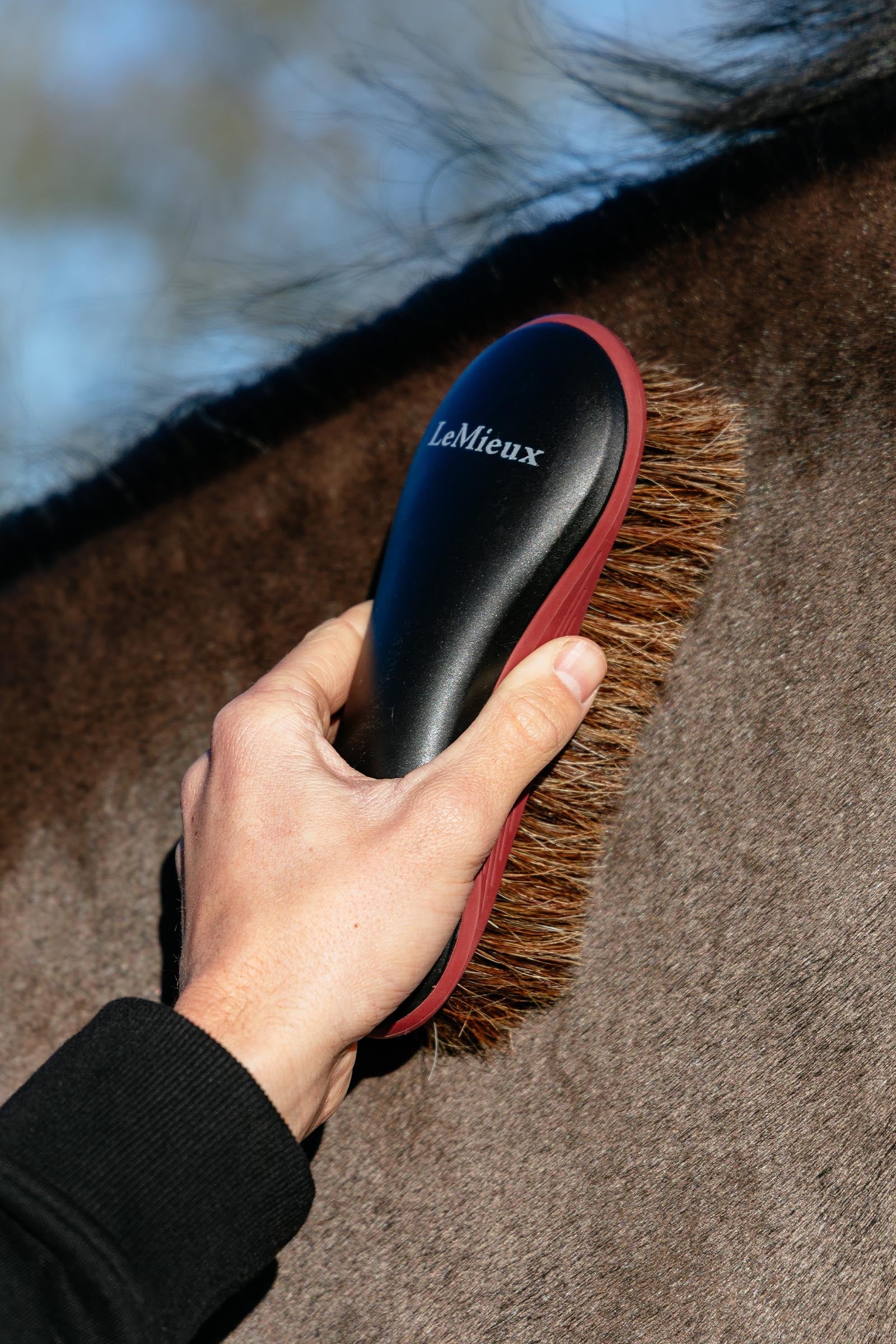 LeMieux Lemieux Body Brush Horse Grooming Tools