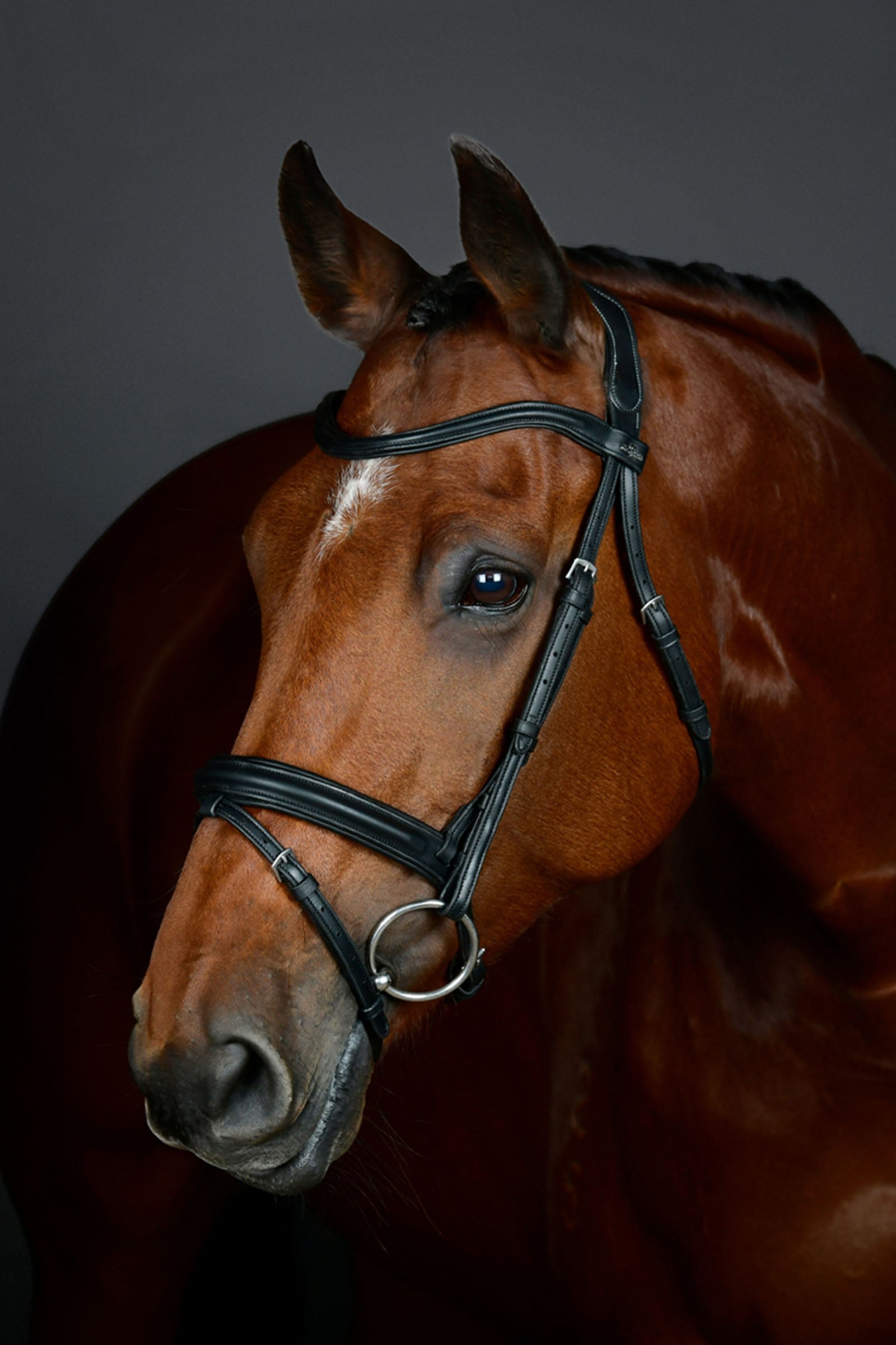 Collegiate Comfitec Opulux proste, wyściełane ogłowie z kombinowanym nachrapnikiem hanowerskim Ogłowia i wodze