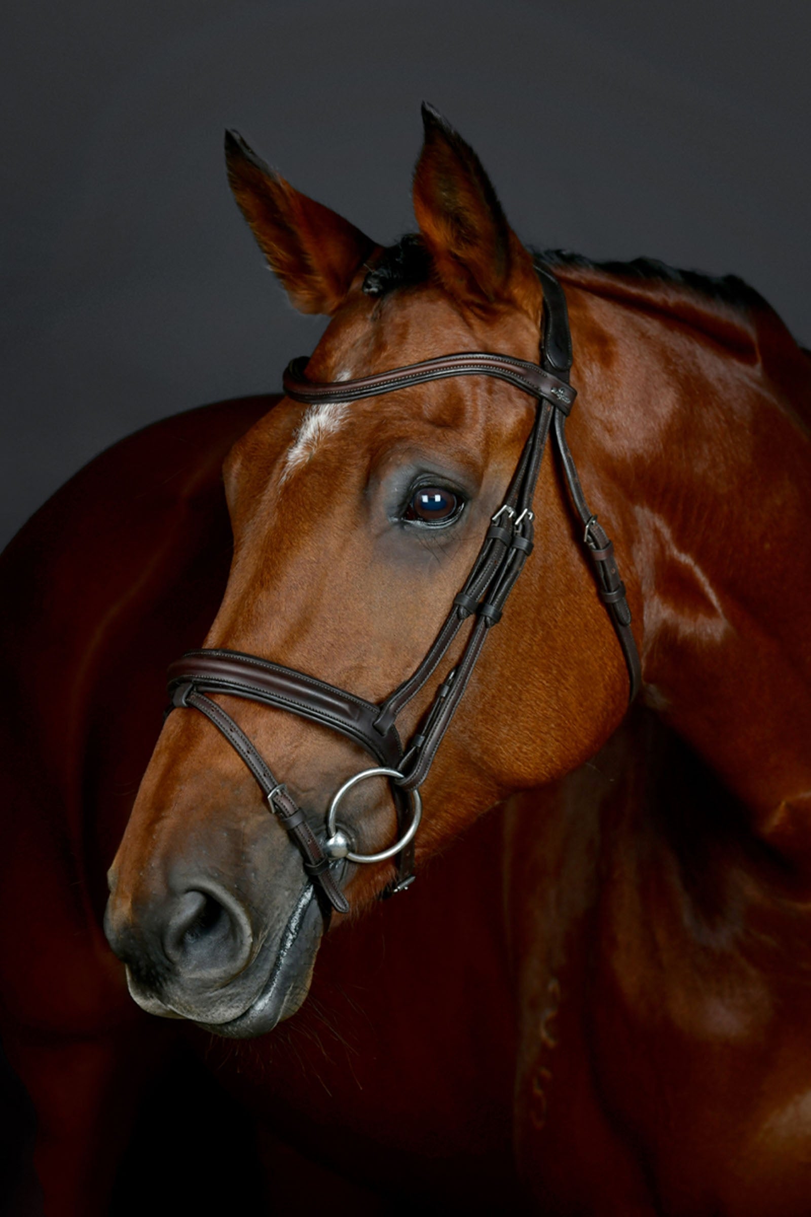 Collegiate Comfitec Opulux proste, wyściełane ogłowie z kombinowanym nachrapnikiem hanowerskim Ogłowia i wodze