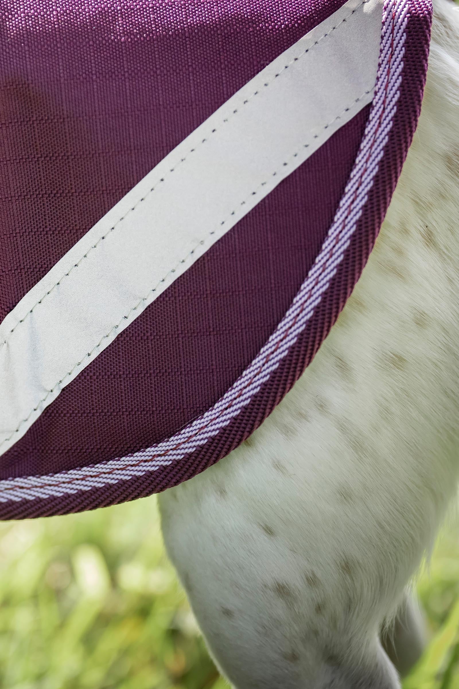 Bucas Freedom Dog Rug, 50g  (50-75 cm) Dog Accesories