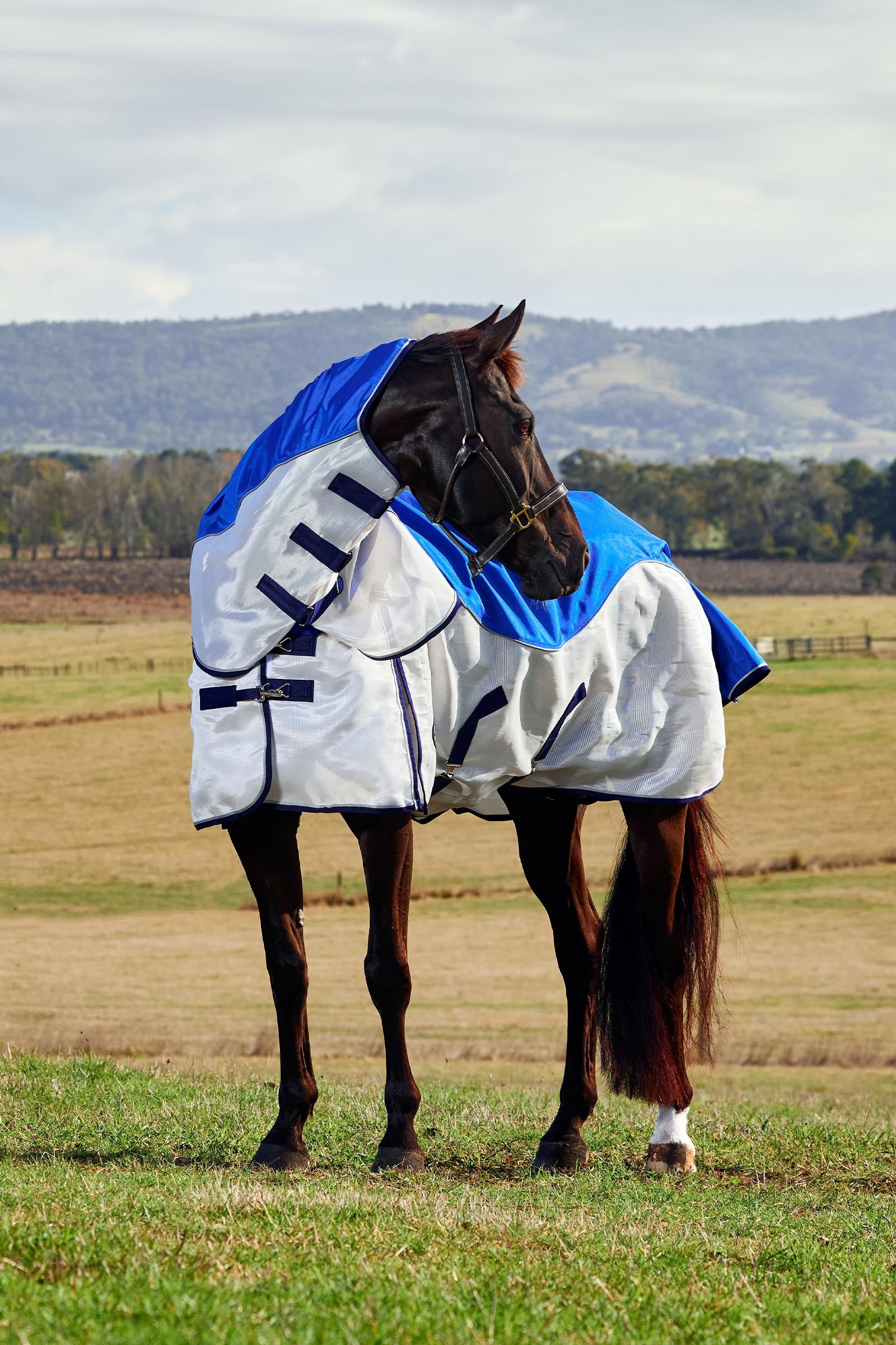Weatherbeeta Comfitec Duo Shield Detach-a-Neck, 0g Horse Rugs