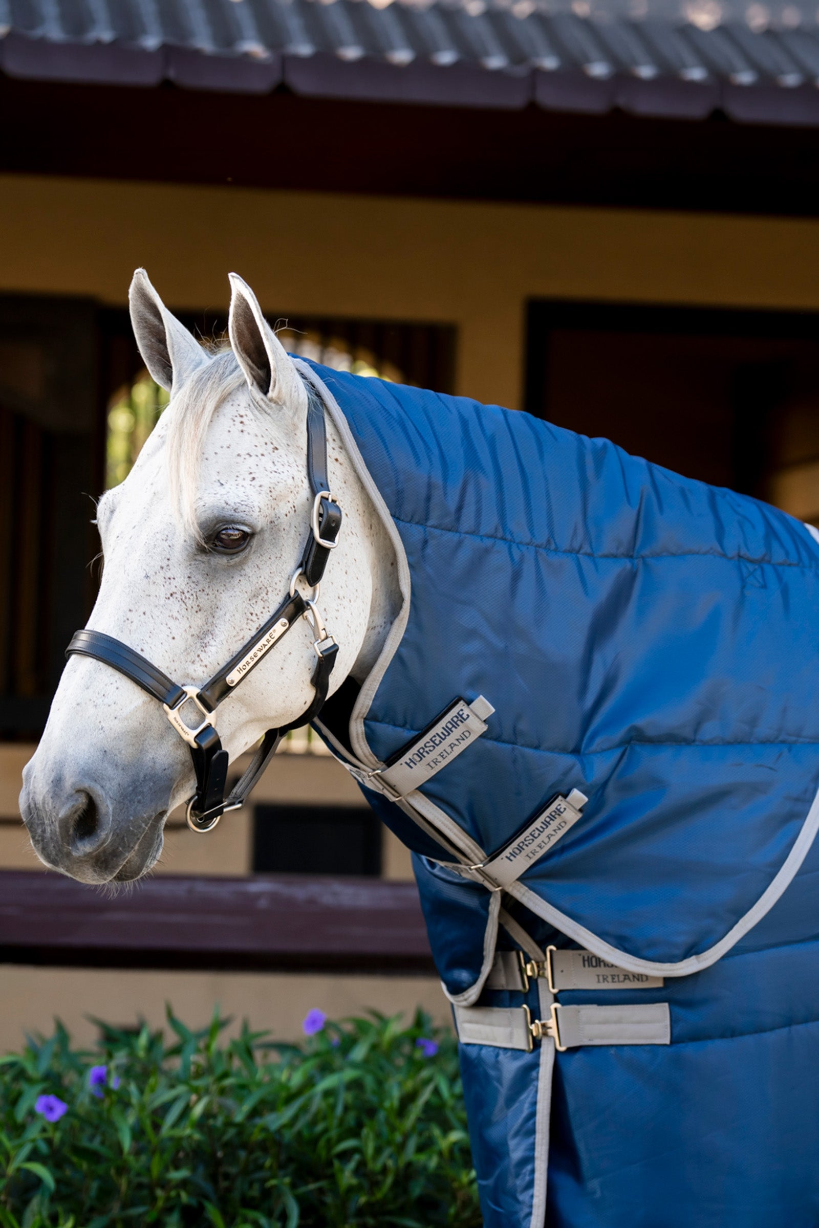Horseware Amigo Ripstop Insulator kaptur do stajni, 100 g Derki