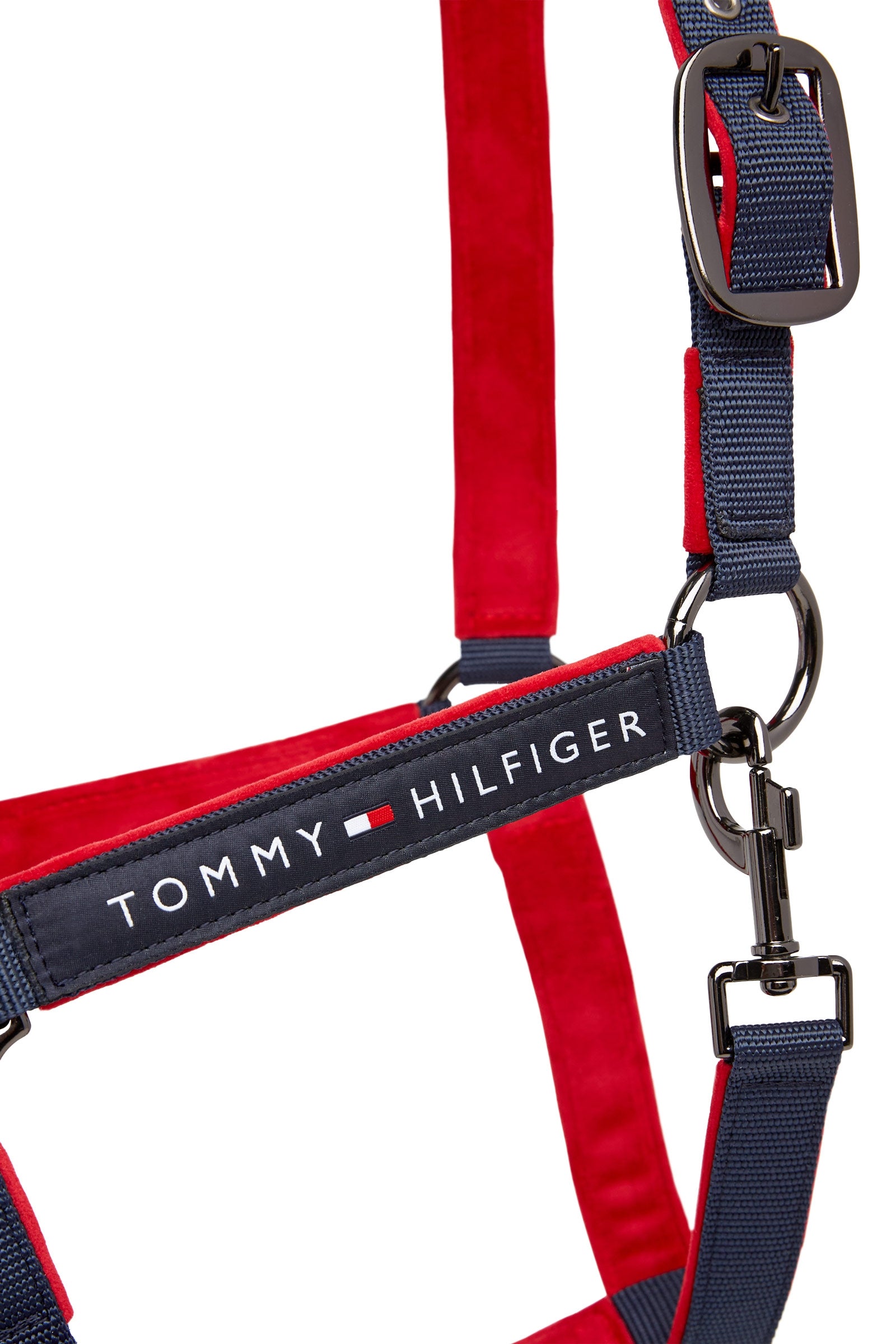 Tommy Hilfiger Equestrian GLOBAL Halter Halters & Leads