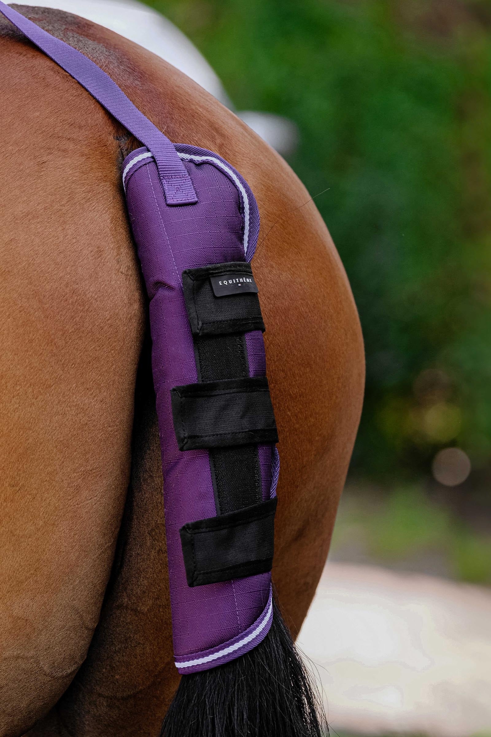 Equi Theme EQUITHÈME TYREX 600D Tail Guard Plume Leg & Hoof Protection