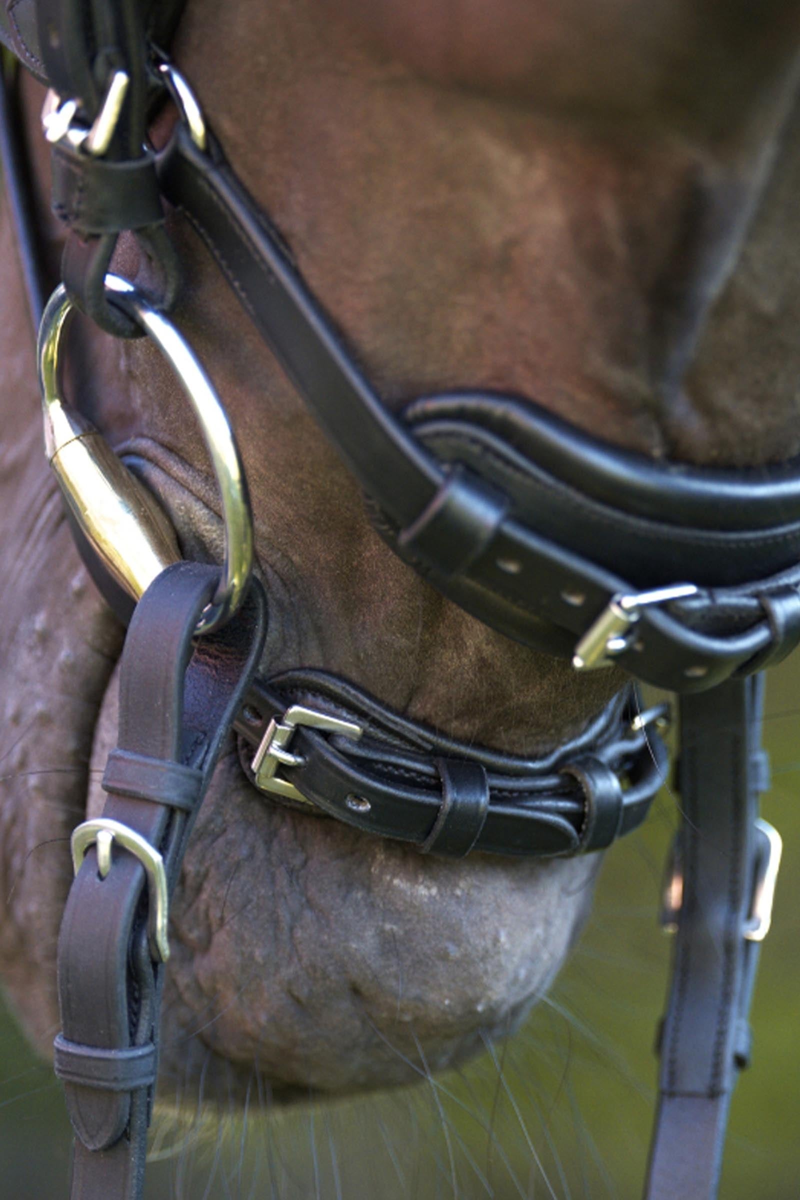 Kavalkade Cajus English Anatomic Combined Bridle Bridles & Reins