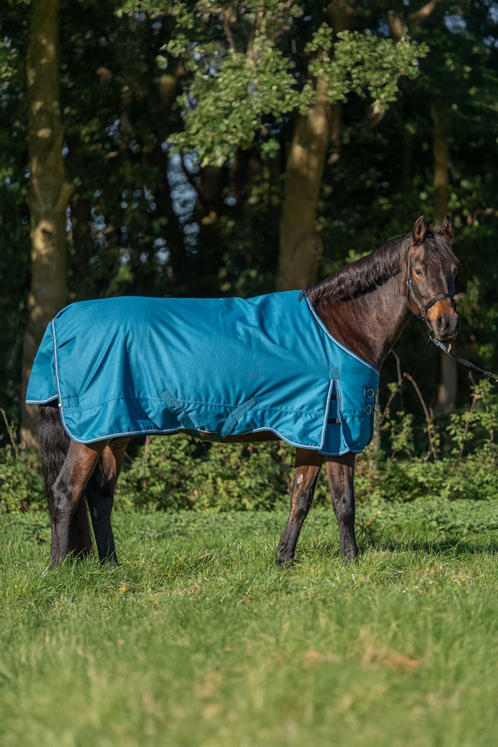 Kavalkade Alaska IV Turnout Rug, 100 g Derki
