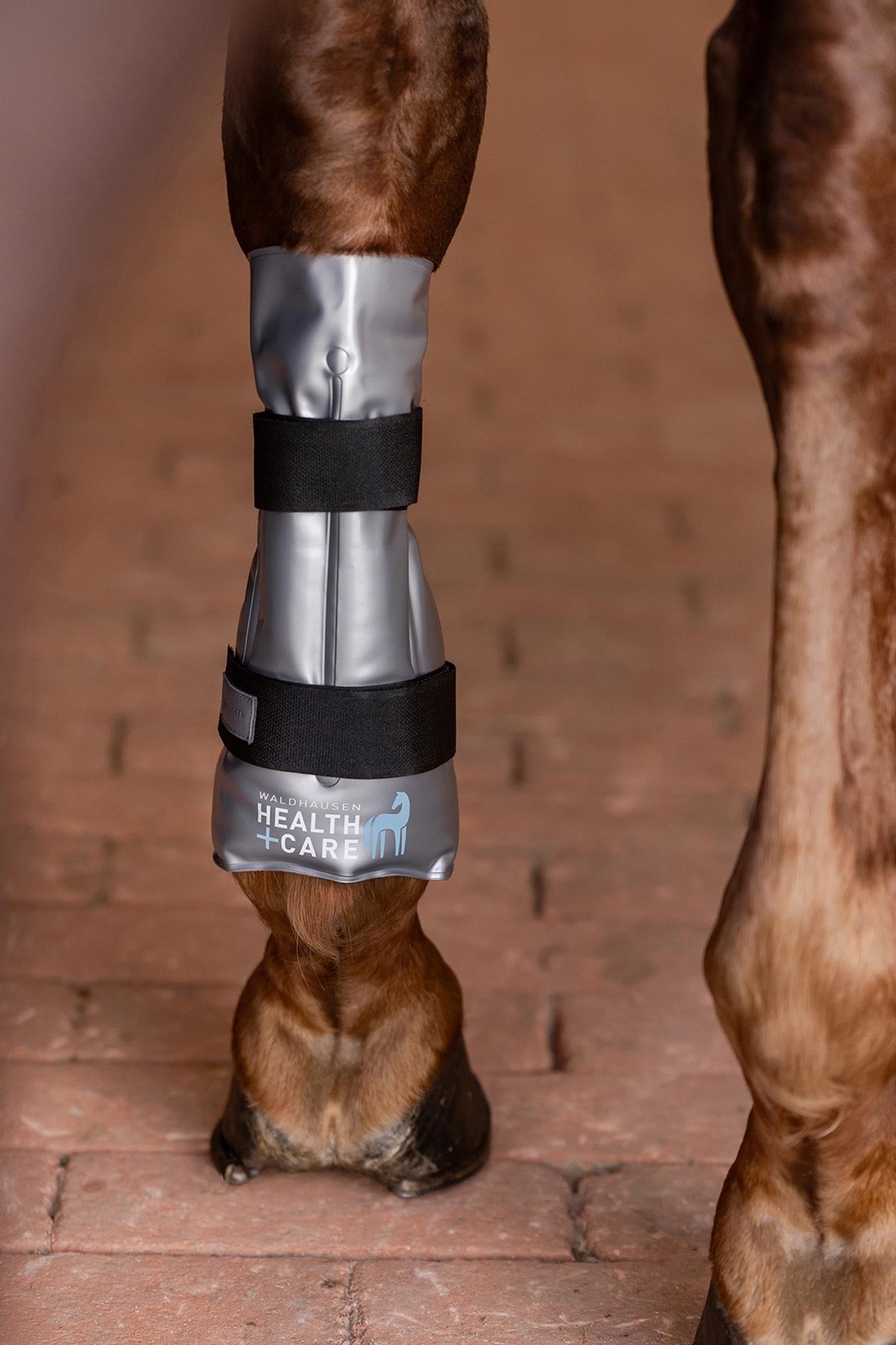 Waldhausen Cooling or Warming Tendon Boot Hot-Chilly Leg Leg Protection & Hoof Protection for Horses
