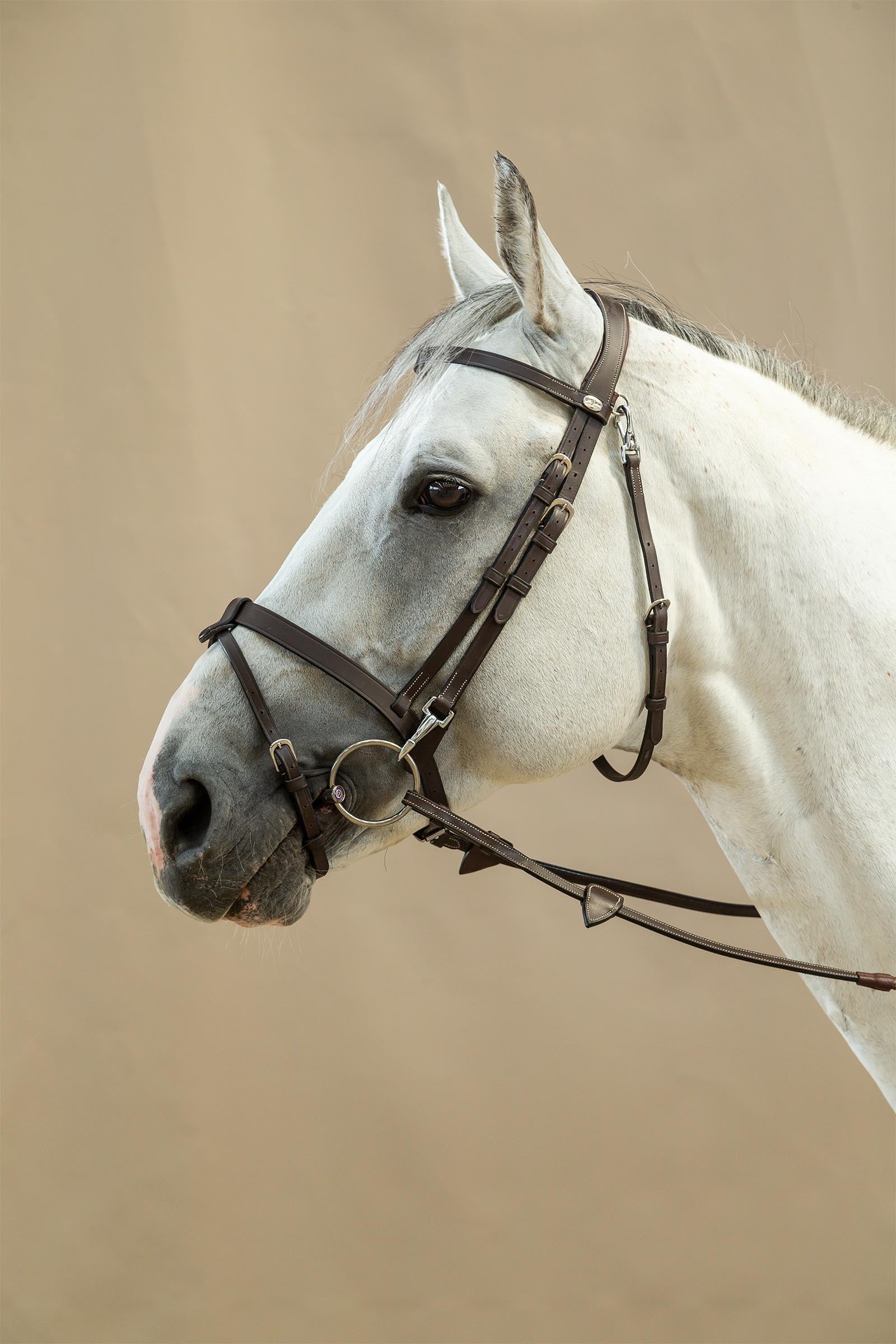 Dy'on Working Flat Leather Bridle With Snap Hooks Bridles & Reins