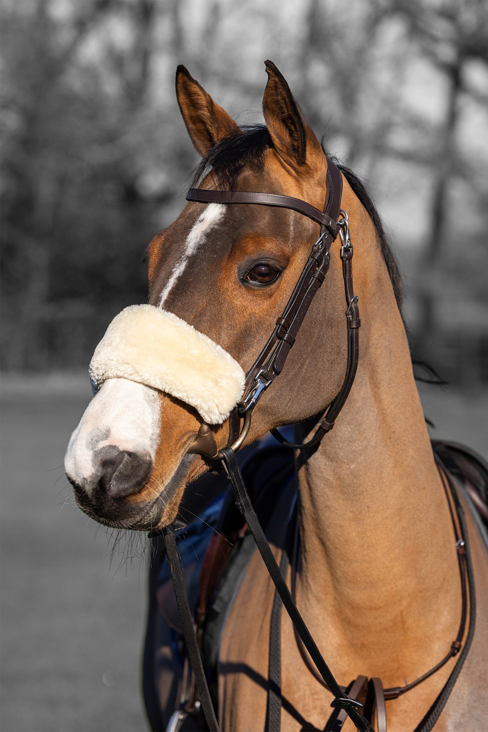 LeMieux Simuwool Noseband Cover Bridles & Reins
