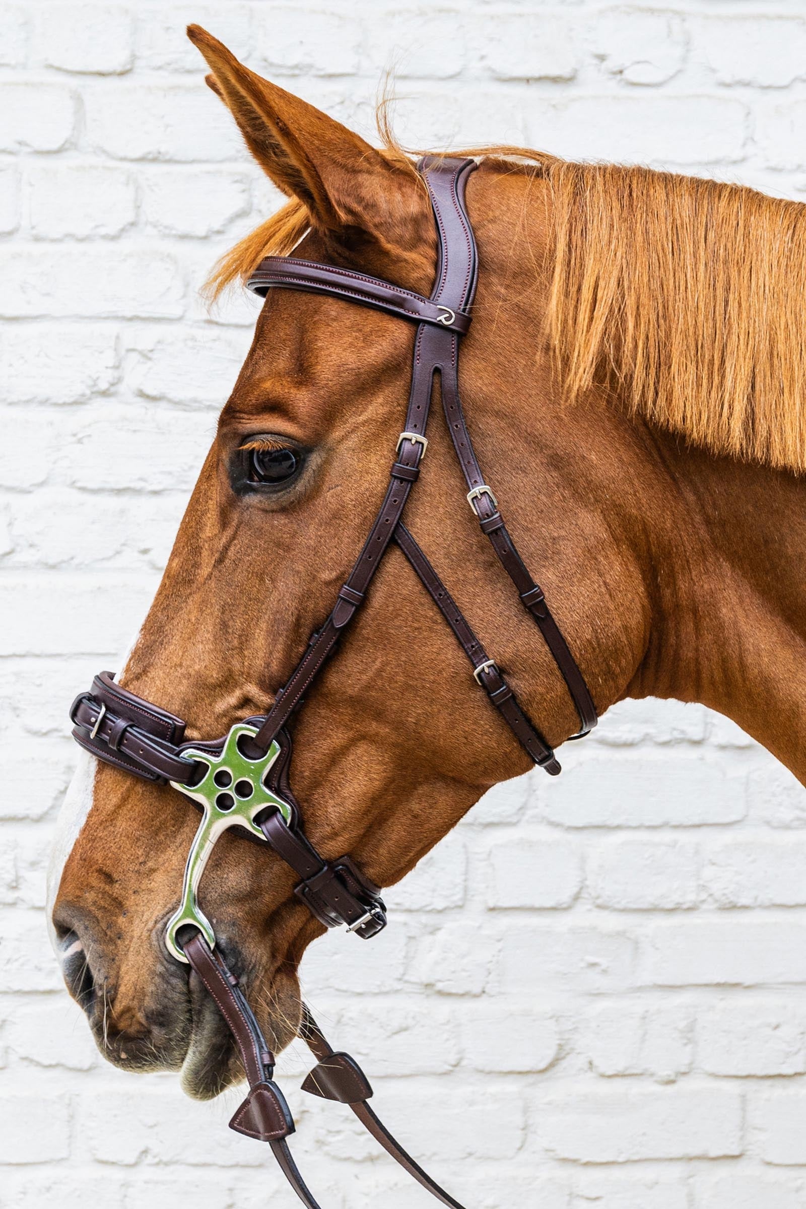 Dy'on New English Collection Hackamore Bridle Bridles & Reins