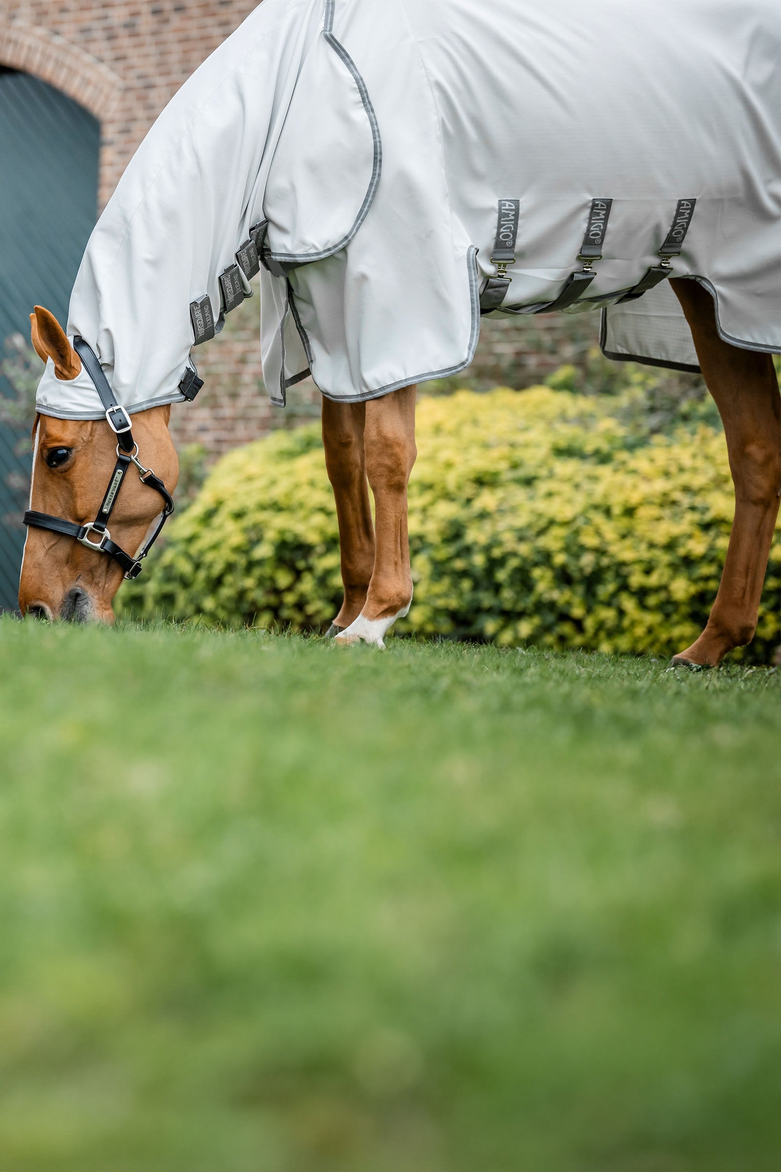 Horseware Amigo Ripstop Hoody Horse Rugs