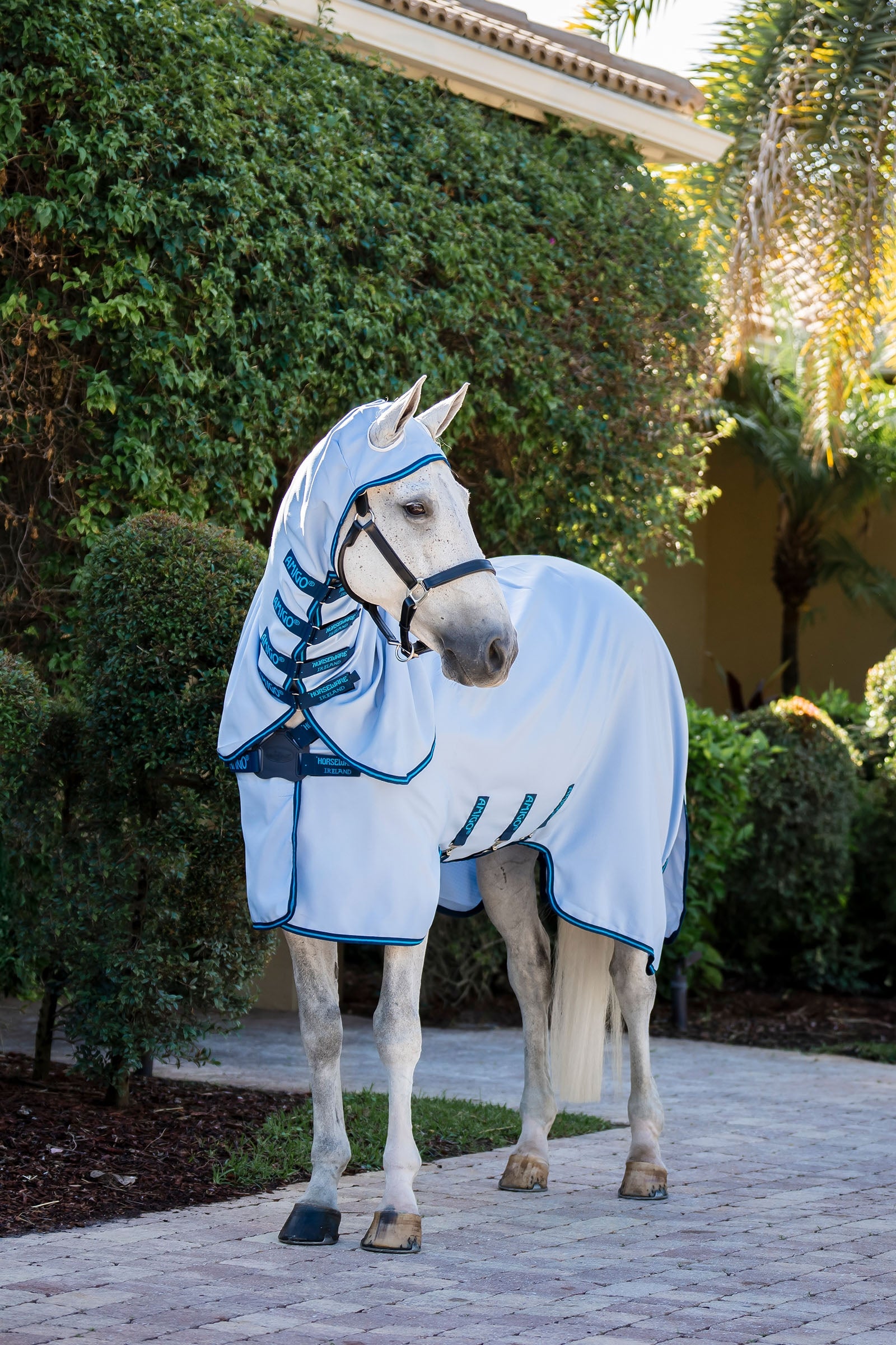 Horseware Amigo Ripstop Derka przeciw owadom Derki