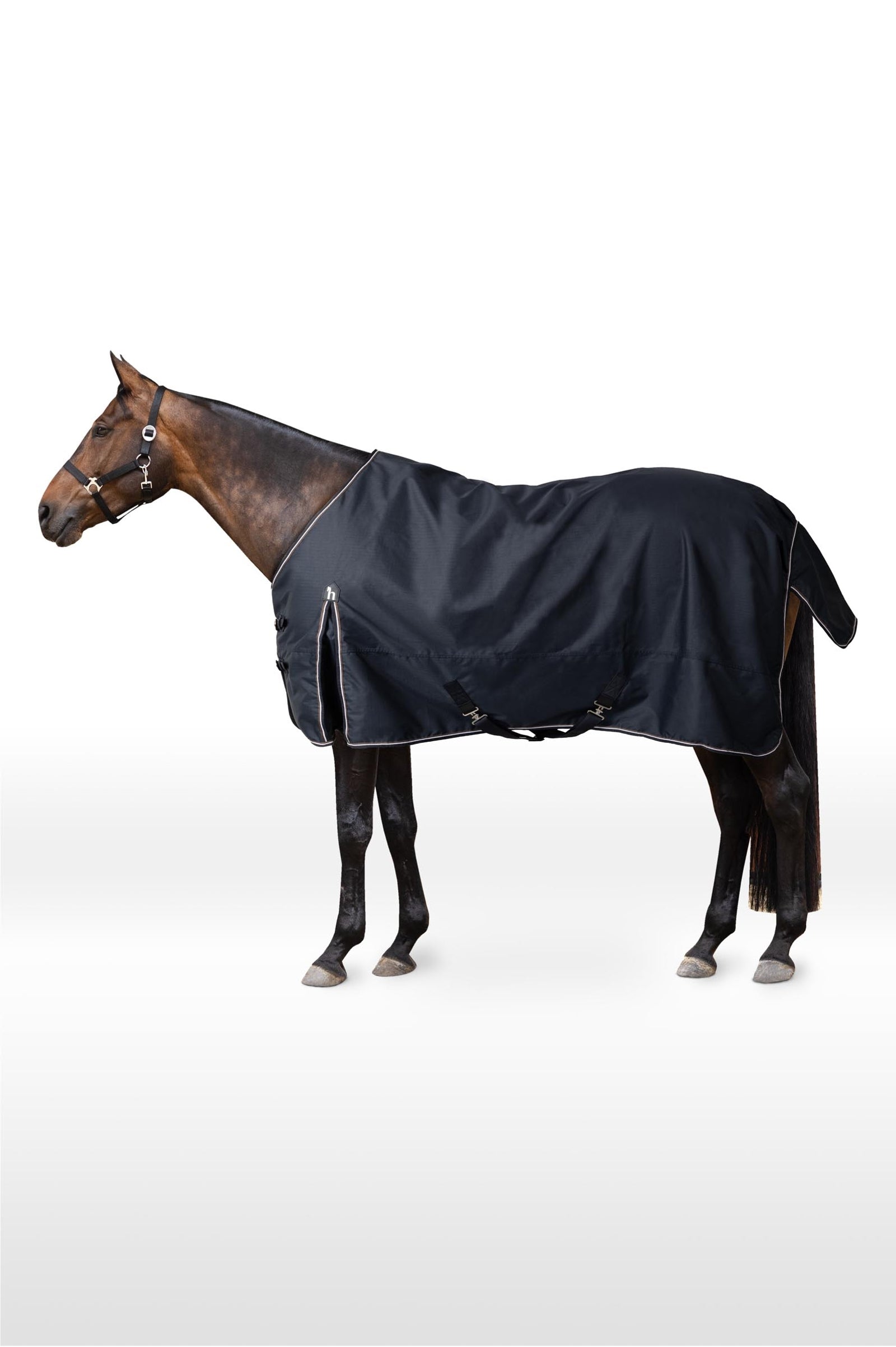 Horze Glasgow Turnout Rug, 200g Horse Rugs