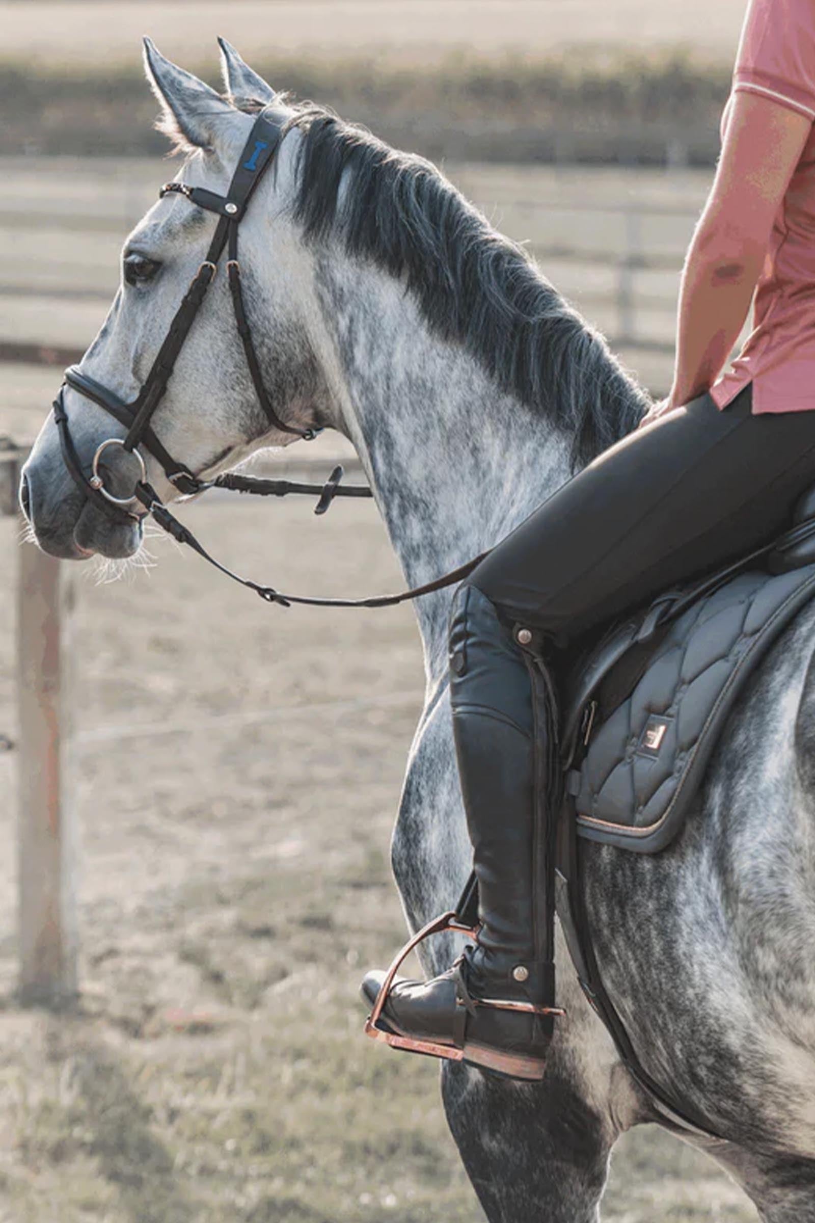Sprenger Fillis Stirrup Saddles, Girths & Stirrups
