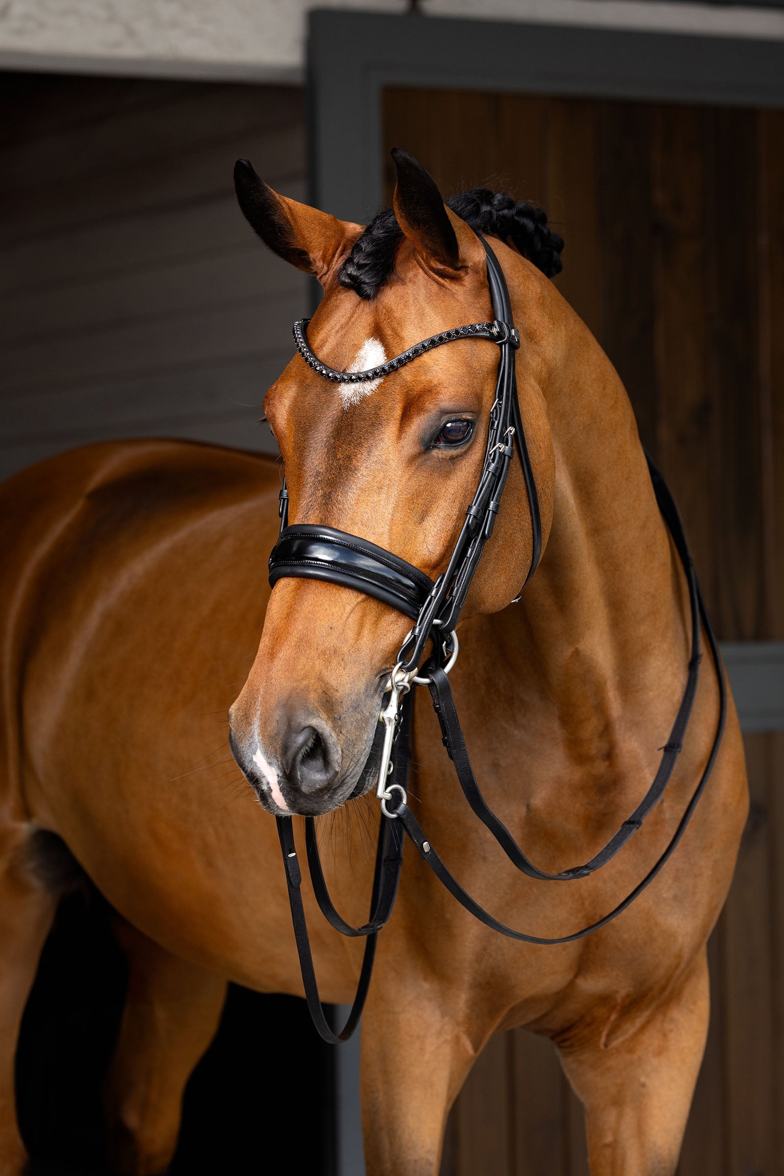 LeMieux Kudos Double Bridle Bridles & Reins