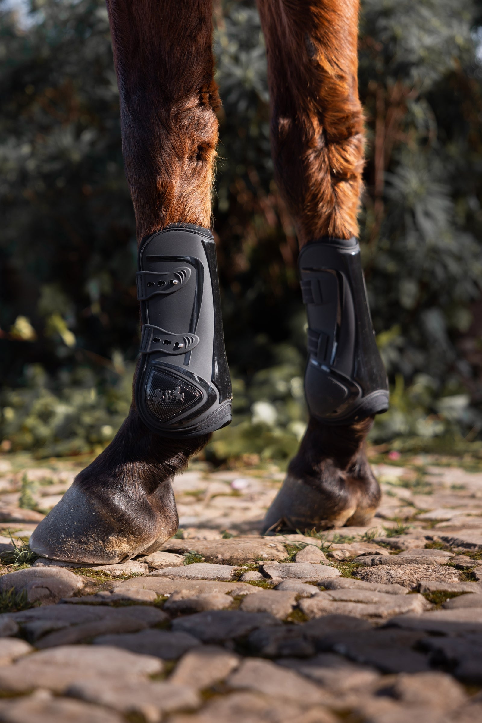 B Vertigo Ocala Tendon Boots Leg Protection & Hoof Protection for Horses