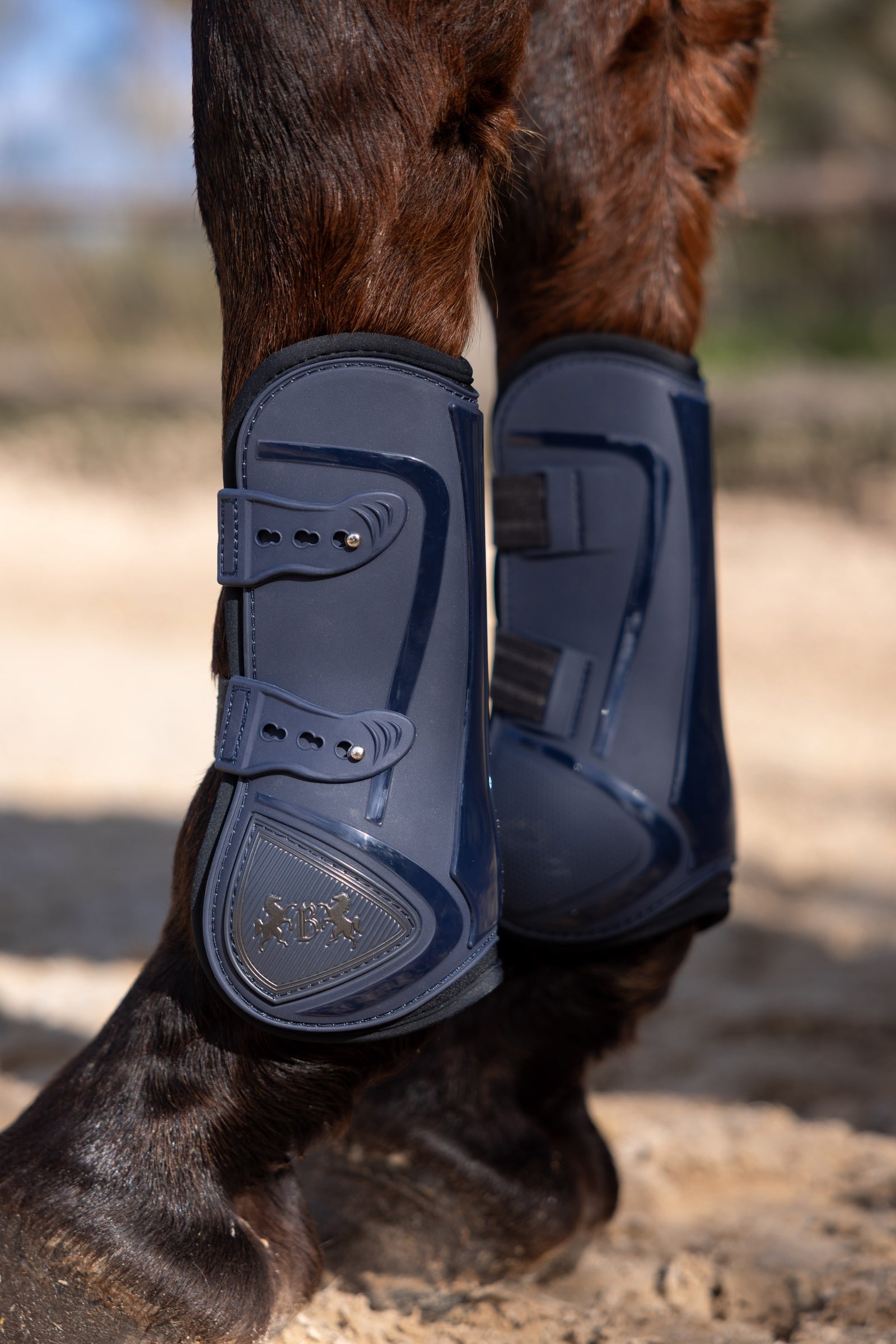 B Vertigo Ocala Tendon Boots Leg Protection & Hoof Protection for Horses