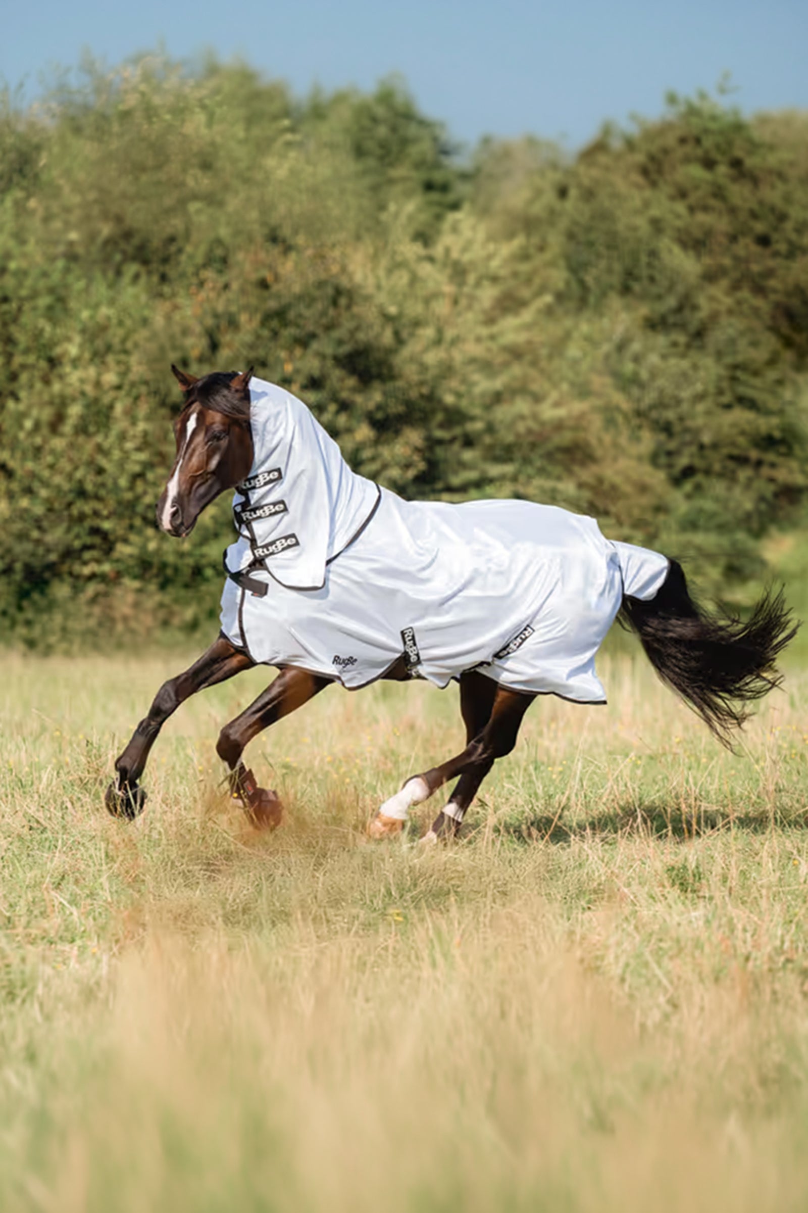 Covalliero RugBe Superfly Fly Sheet Horse Rugs
