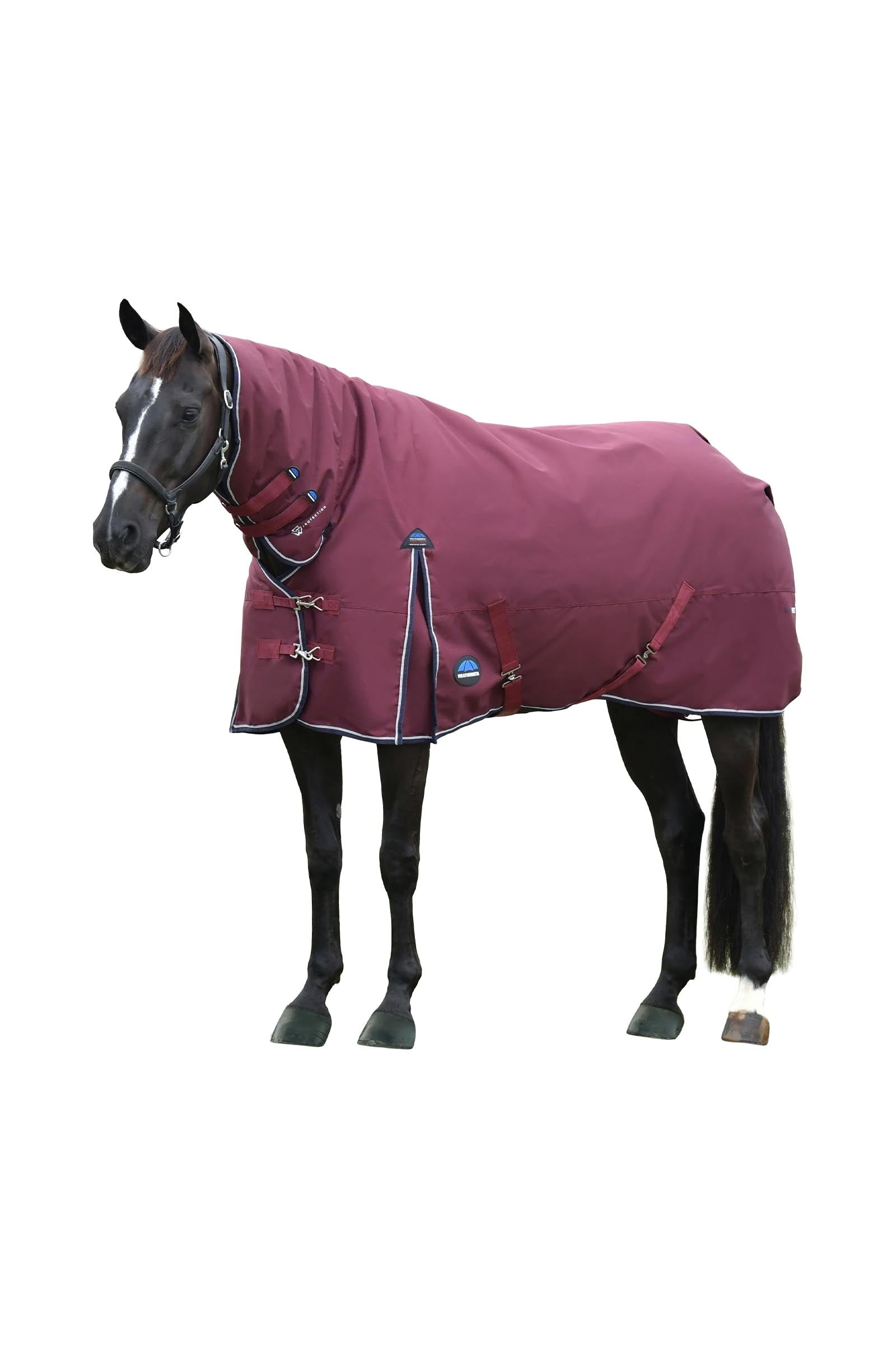 Weatherbeeta Comfitec Essential Turnout Rug With Fixed Neck, 220g Horse Rugs