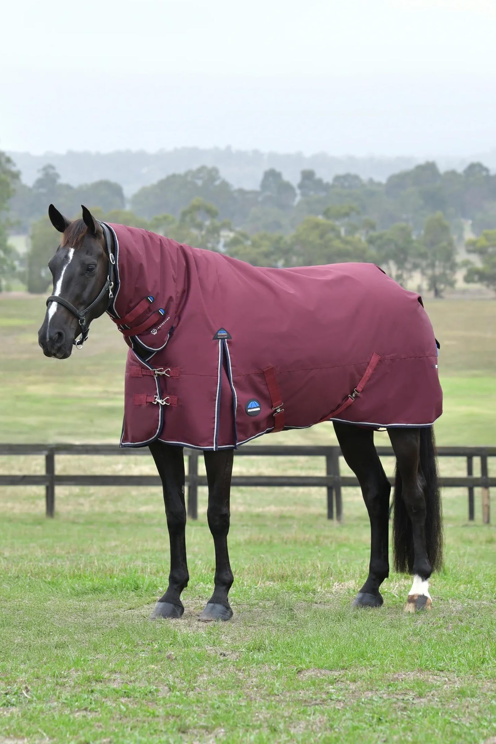 Weatherbeeta Comfitec Essential Turnout Rug With Fixed Neck, 220g Horse Rugs