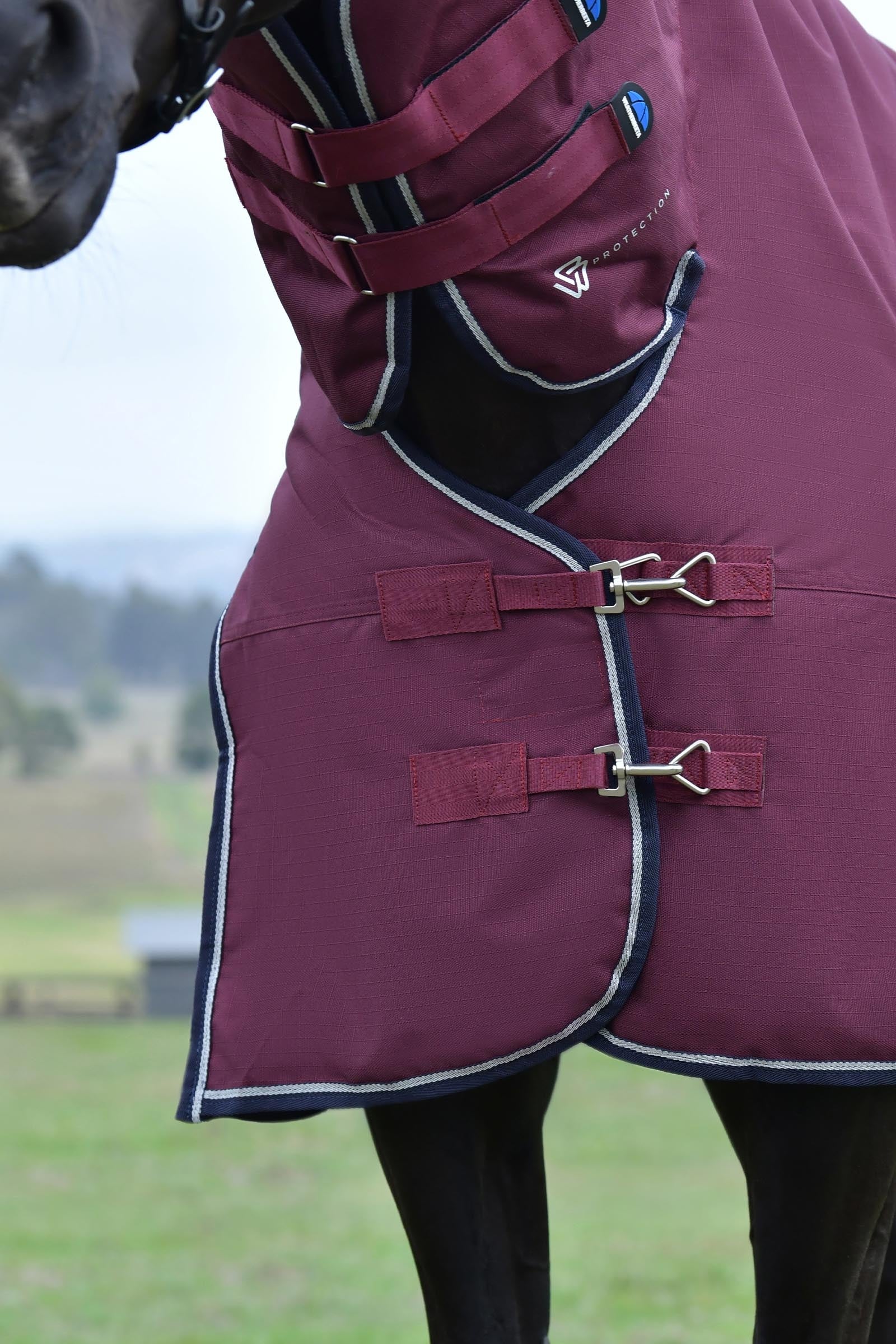 Weatherbeeta Comfitec Essential Turnout Rug With Fixed Neck, 220g Horse Rugs