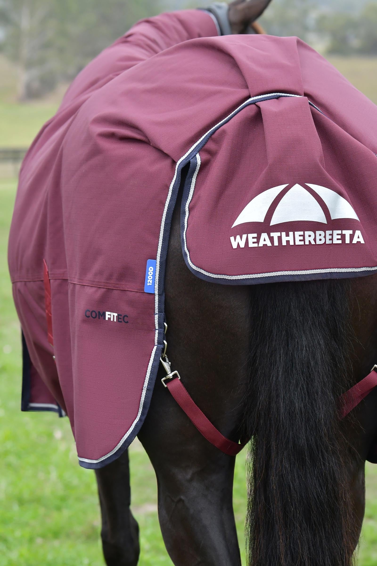 Weatherbeeta Comfitec Essential Turnout Rug With Fixed Neck, 220g Horse Rugs
