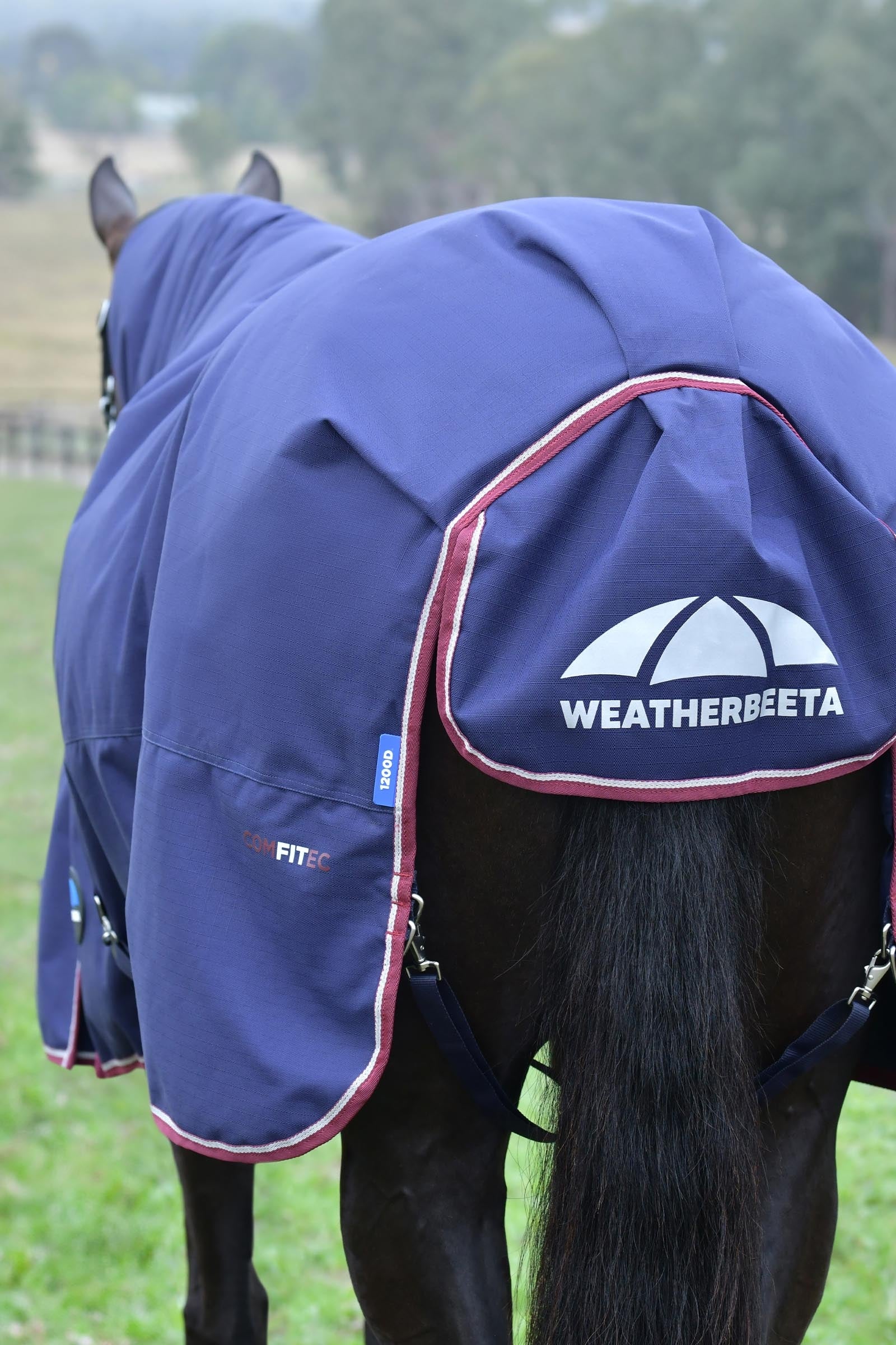 Weatherbeeta Comfitec Essential Turnout Rug With Fixed Neck, 220g Horse Rugs