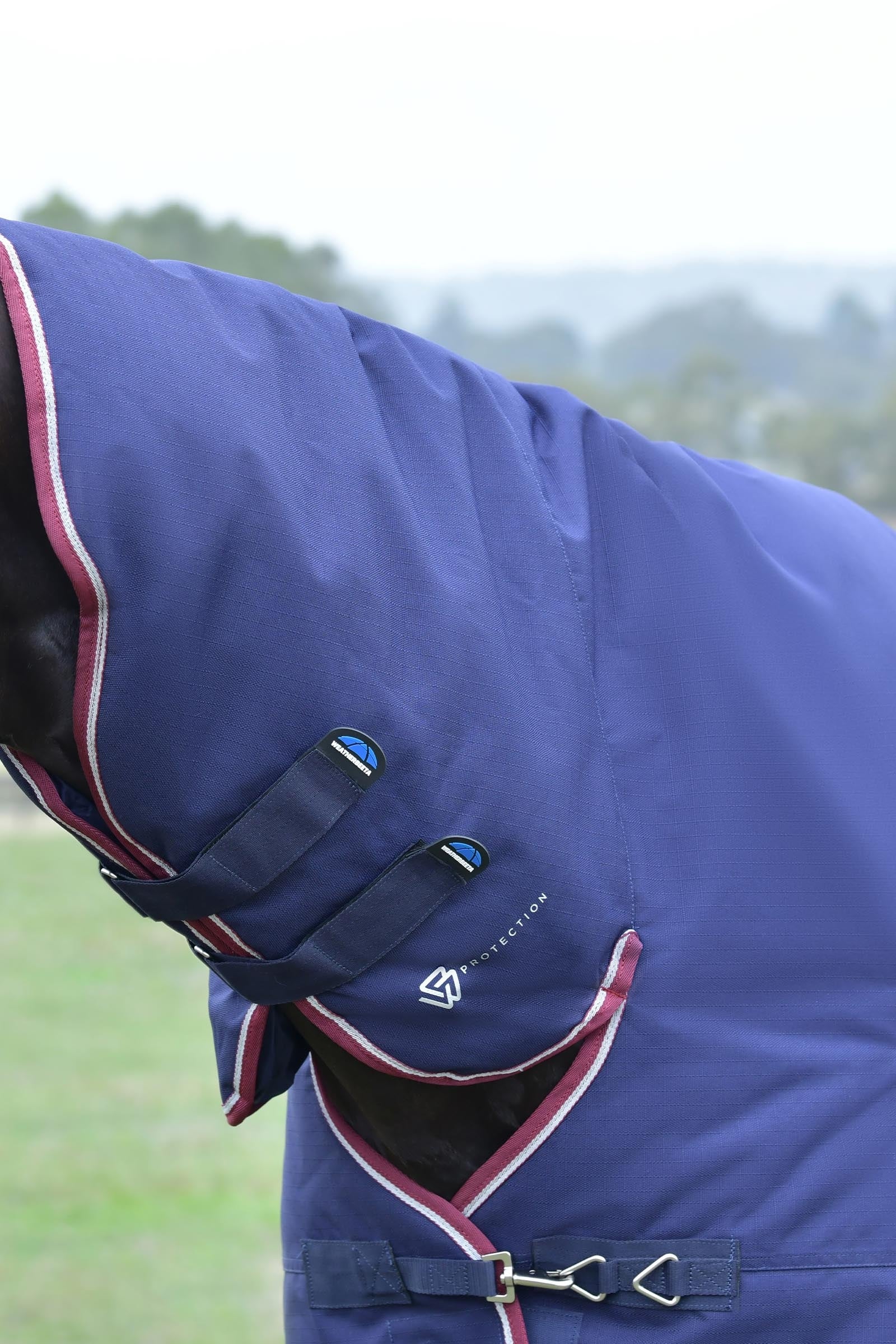 Weatherbeeta Comfitec Essential Turnout Rug With Fixed Neck, 220g Horse Rugs