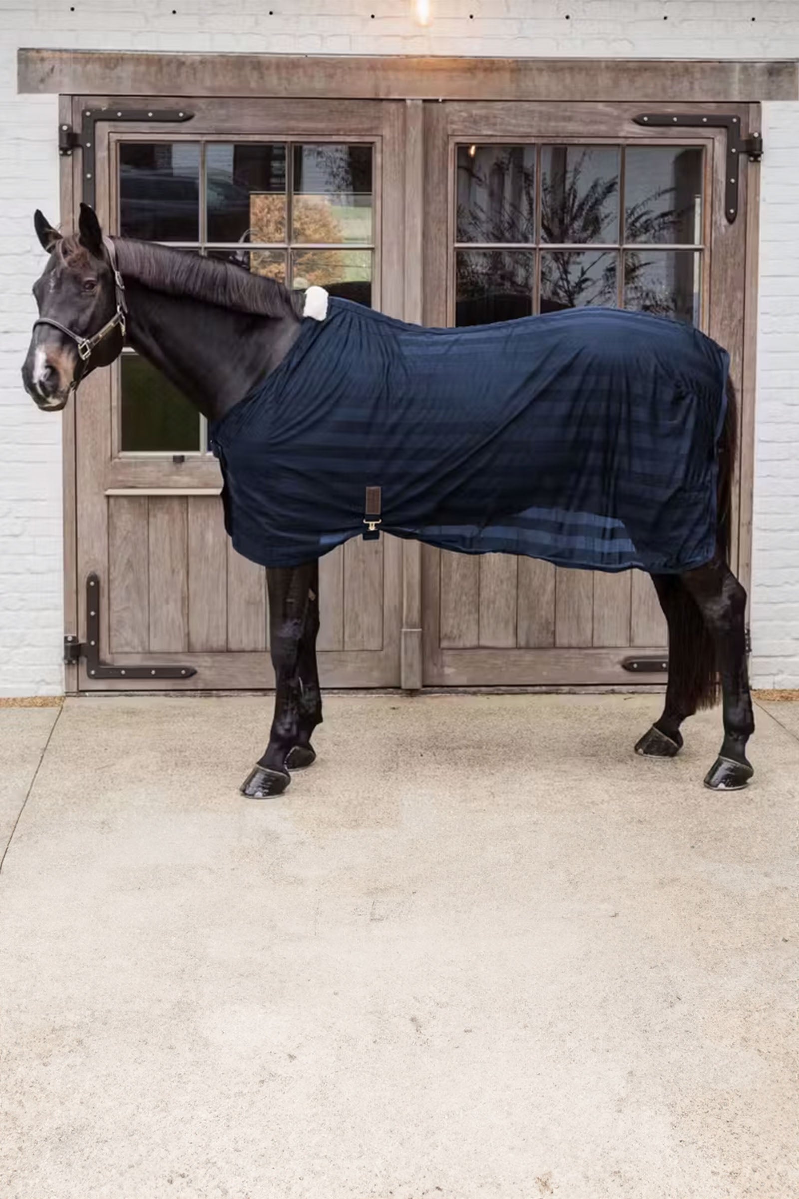 Kentucky Horsewear Light striped Mesh fly sheet Horse Rugs