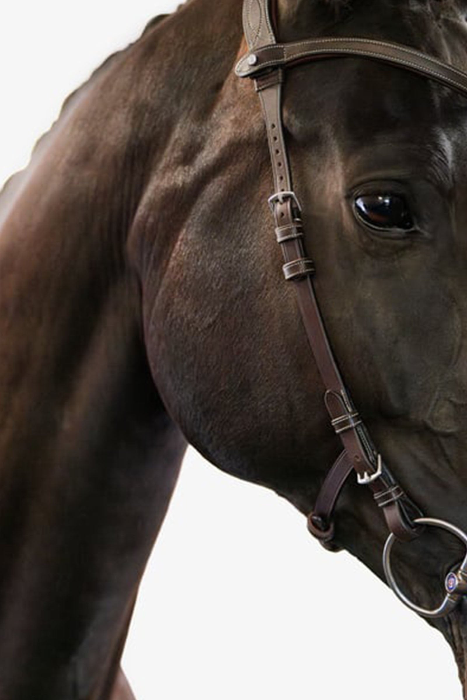 PS of Sweden Bridle Helsinki Bridles & Reins