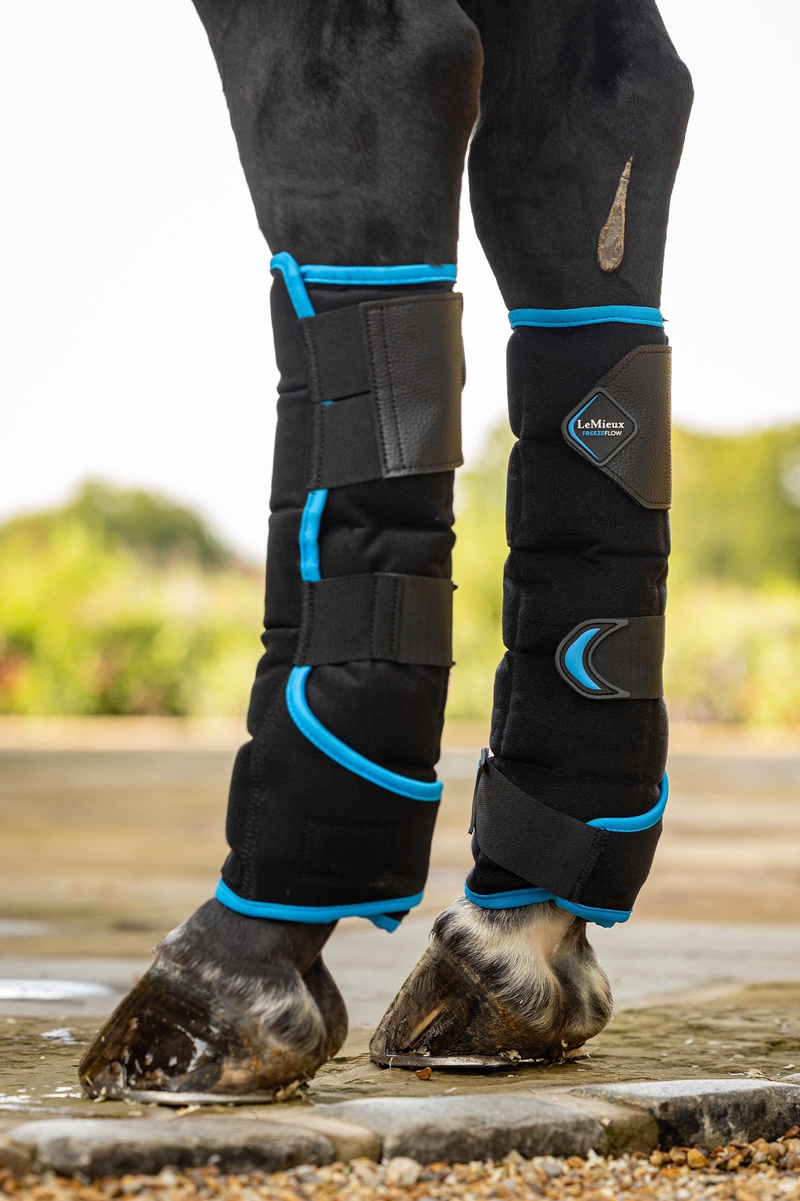 LeMieux Freeze Flow ochraniacze chłodzące tył Leg & Hoof Protection