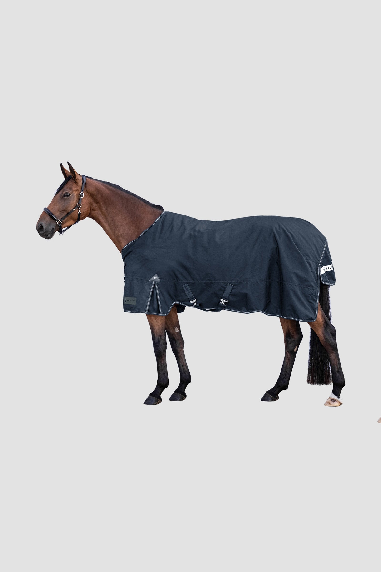 Waldhausen Arctic Outdoor Rug, 100 g Horse Rugs
