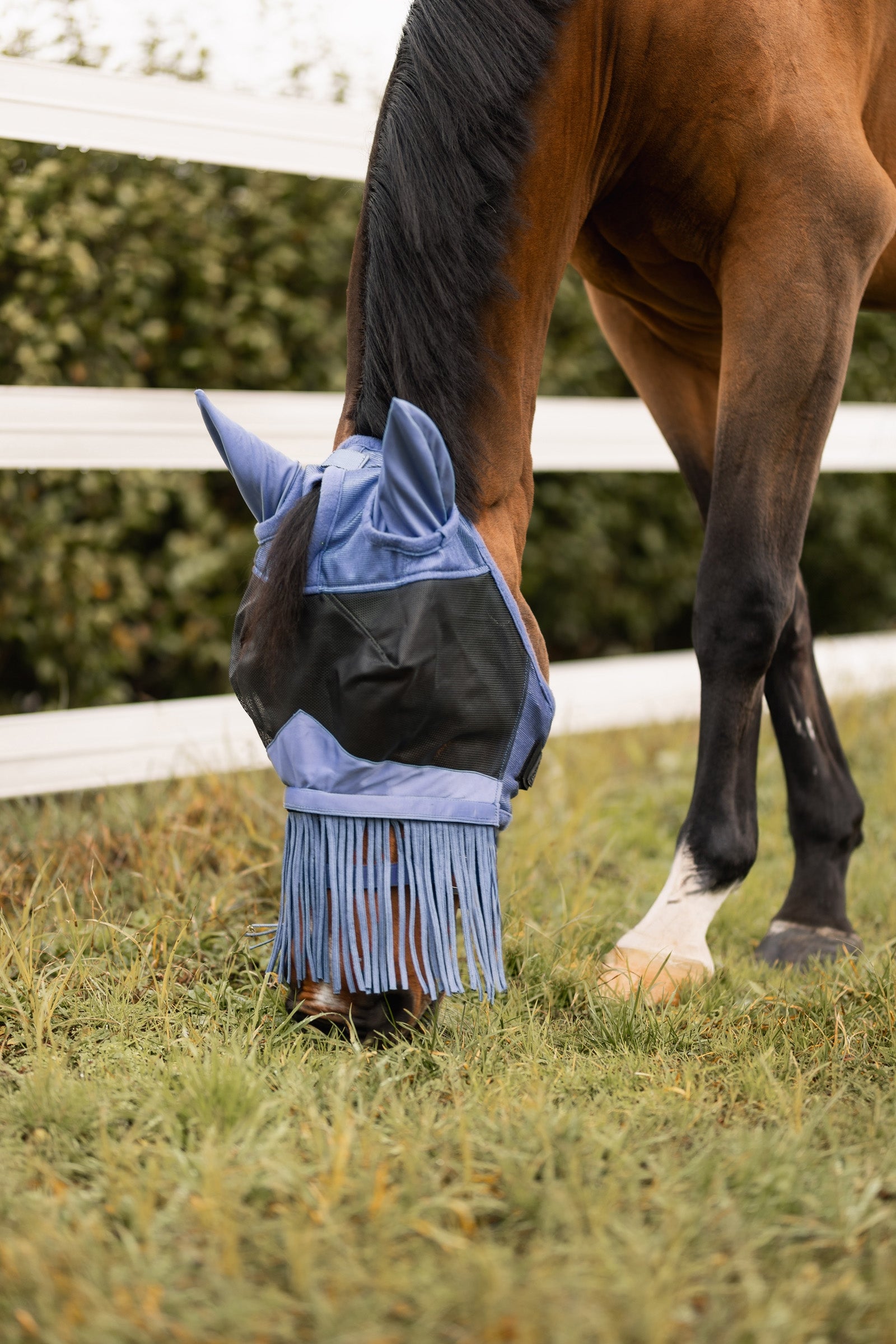 Horze Fly Mask with Fringed Nose Antifly Protection for Horses
