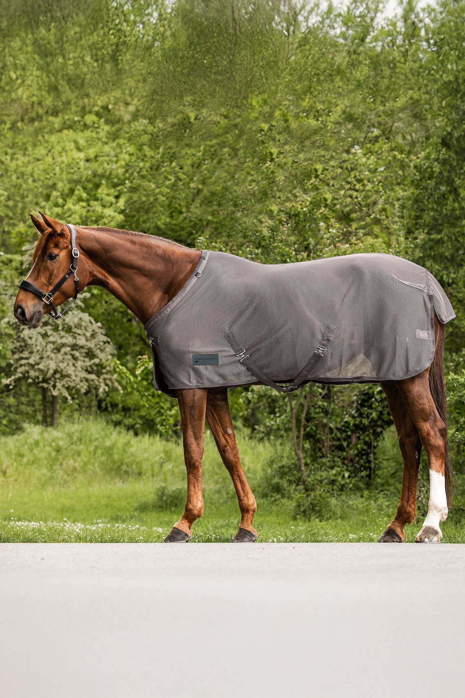 Waldhausen Comfort derka przeciw owadom Derki