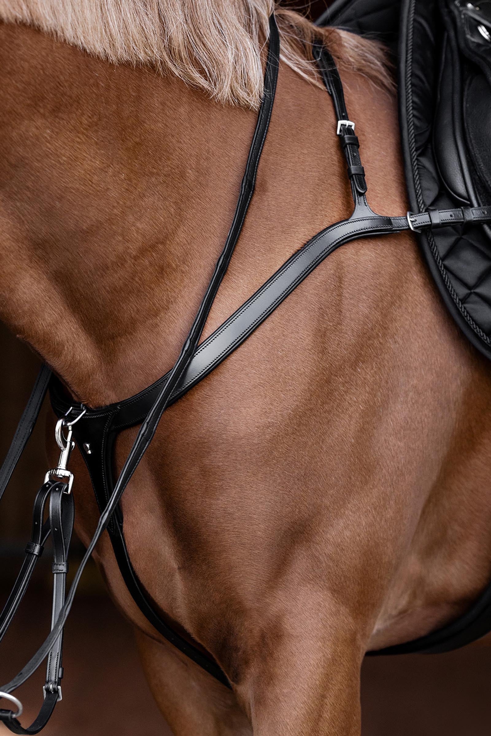 Waldhausen X-Line Breastplate With Long Bridge Bridles & Reins